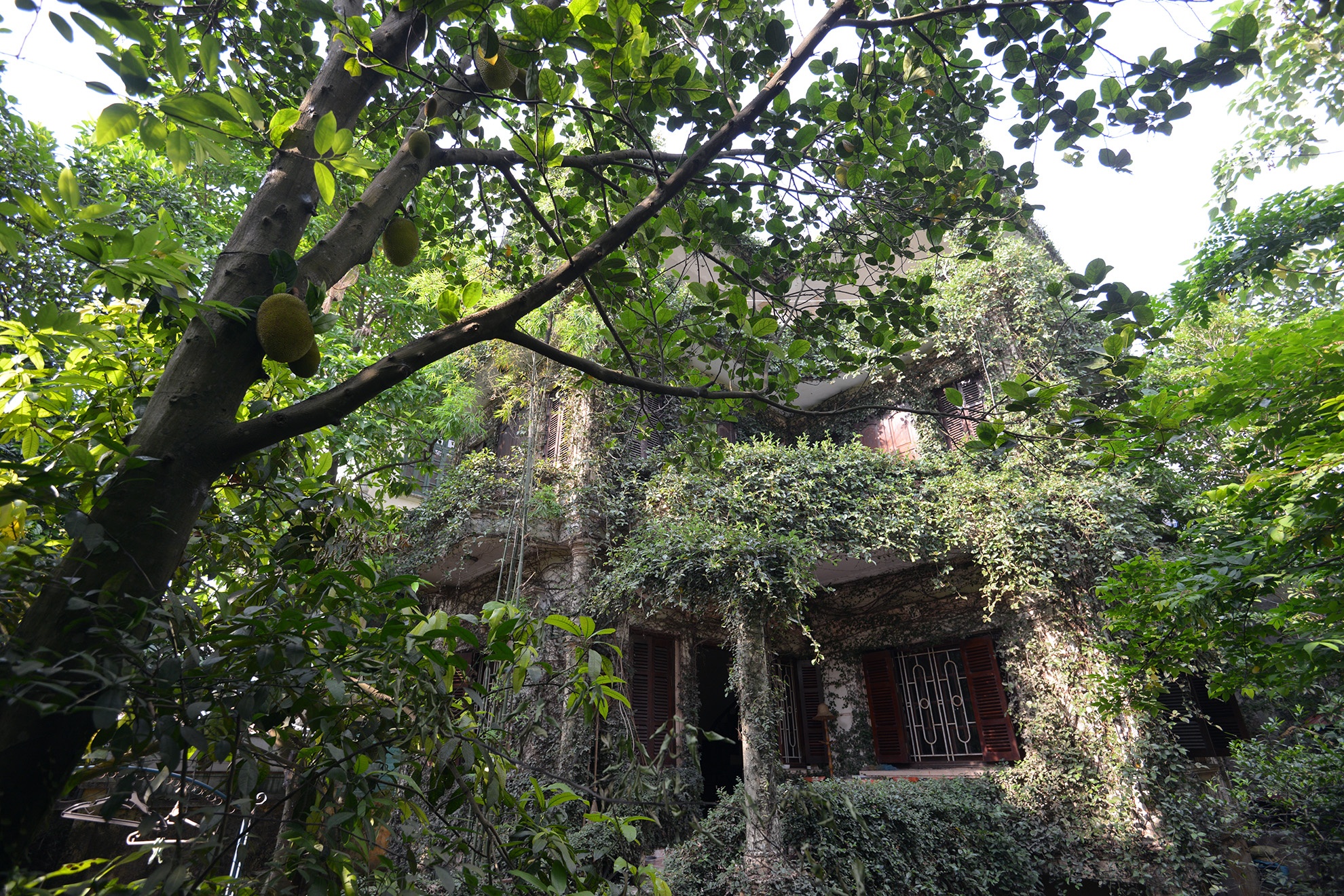 Can canh ngoi nha ky la o Ha Noi hinh anh