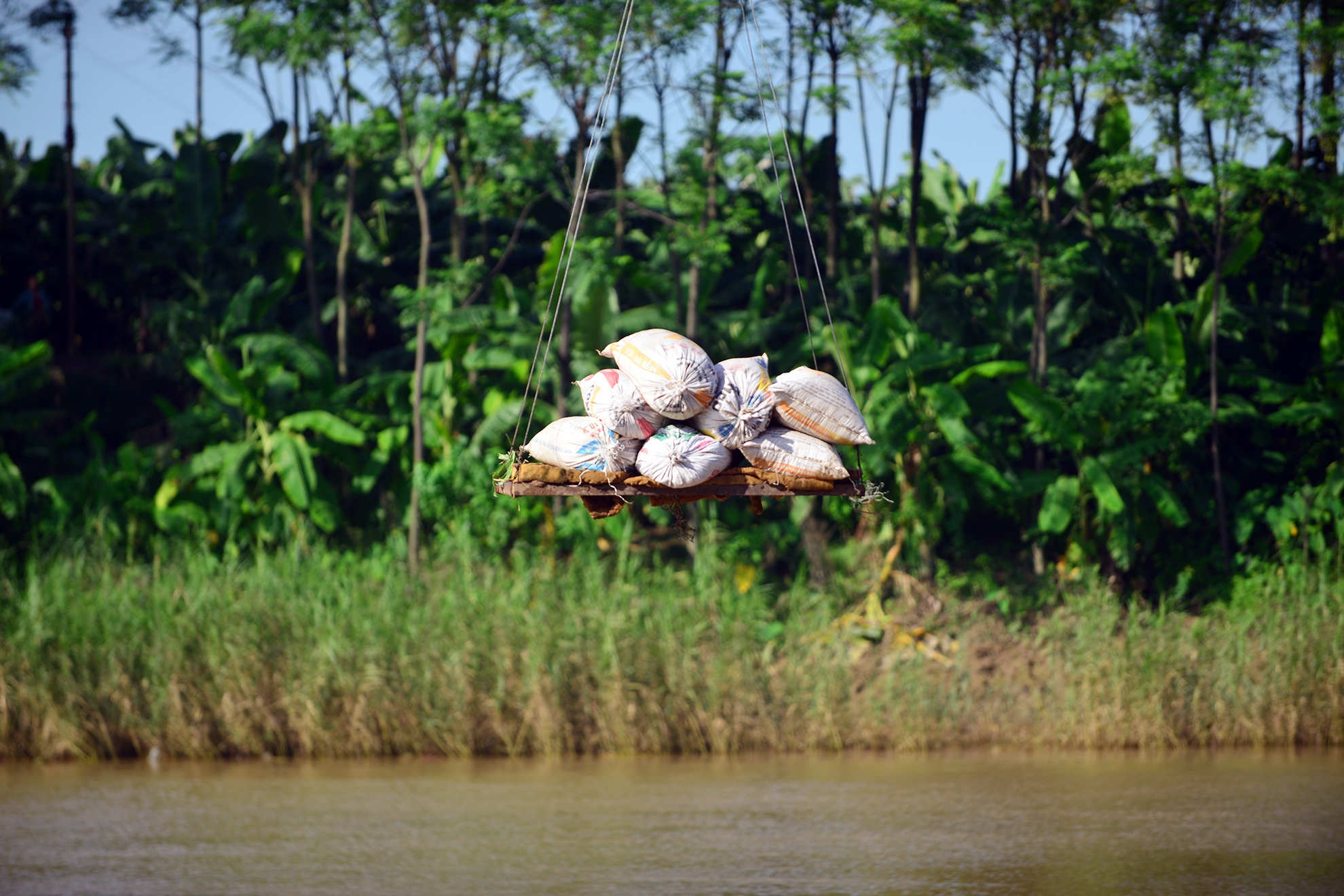 Trong ảnh là gần 2 tạ phân bón được vận chuyển sang sông để chăm bón vườn cây.