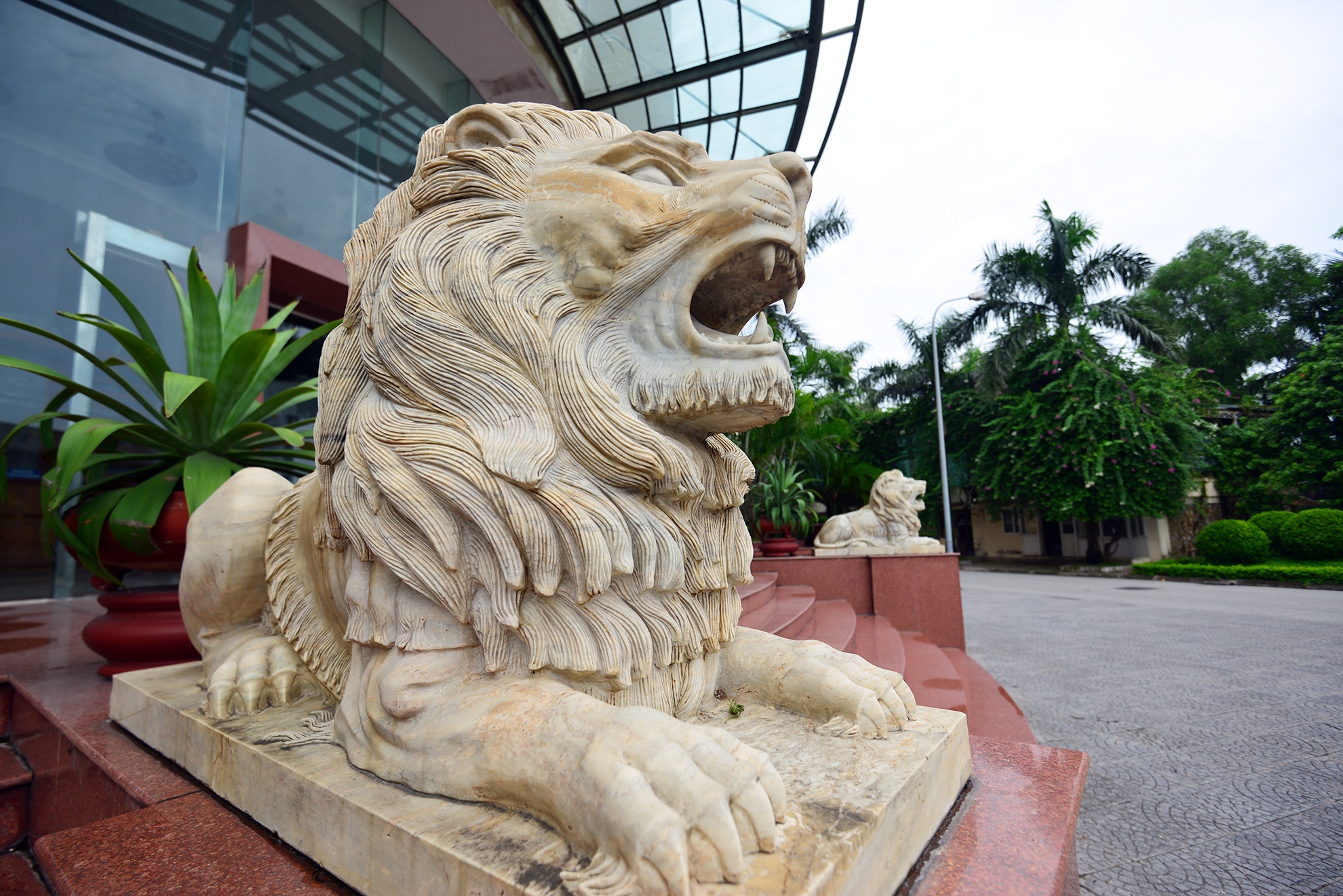 Su tu canh mo hung du an ngu khap cac cong so, chua chien hinh anh