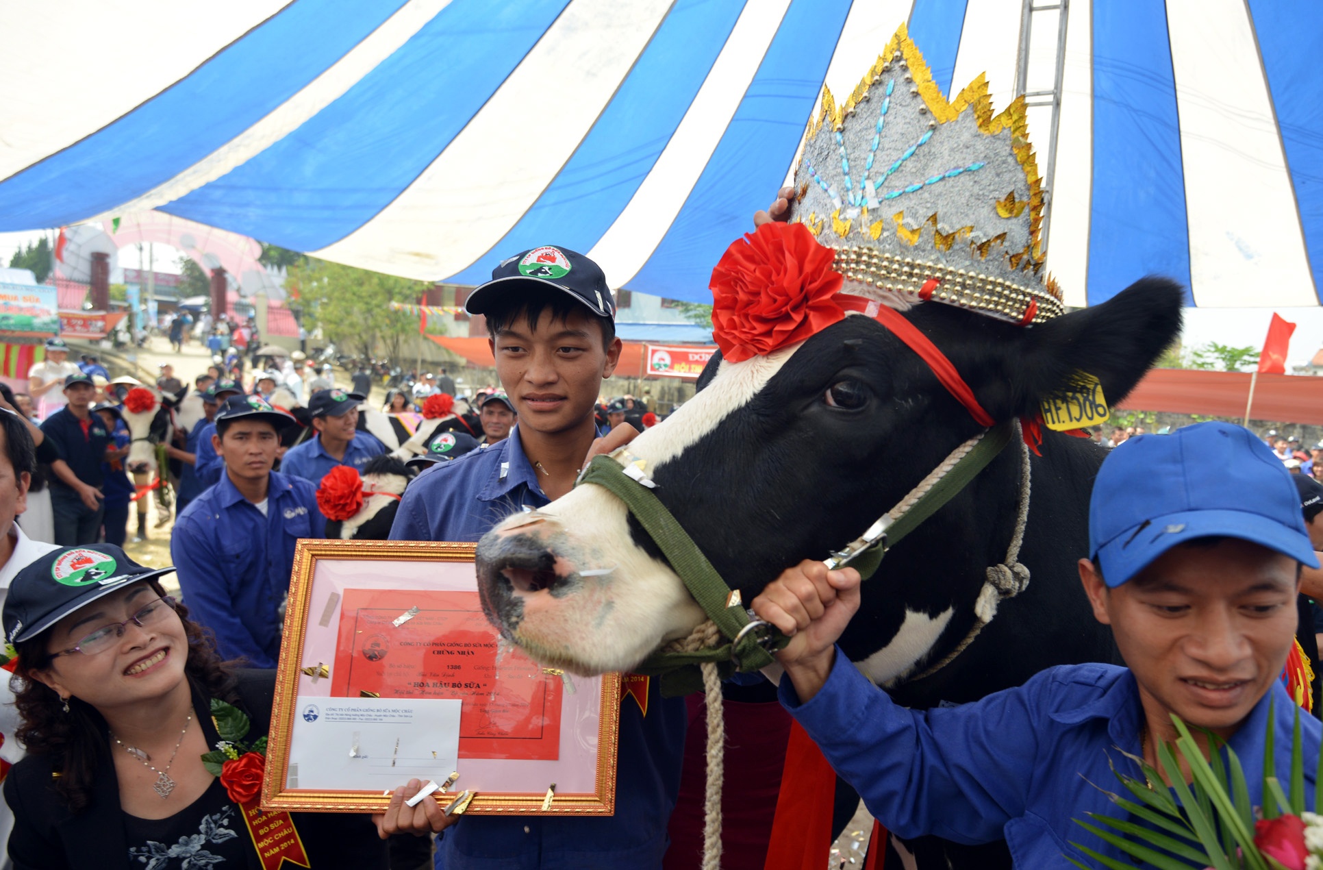 Bo deo vuong mien dang quang hoa hau hinh anh