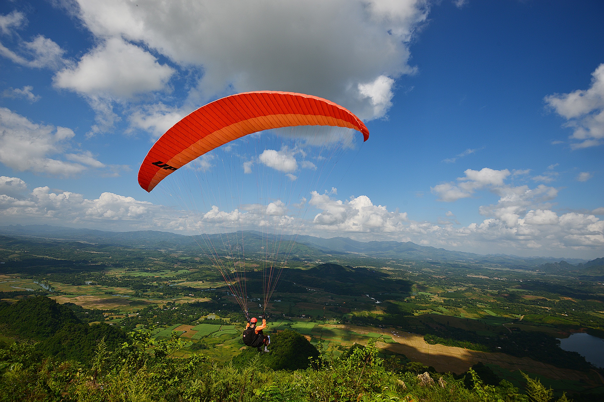 Tranh tai mao hiem voi du luon hinh anh