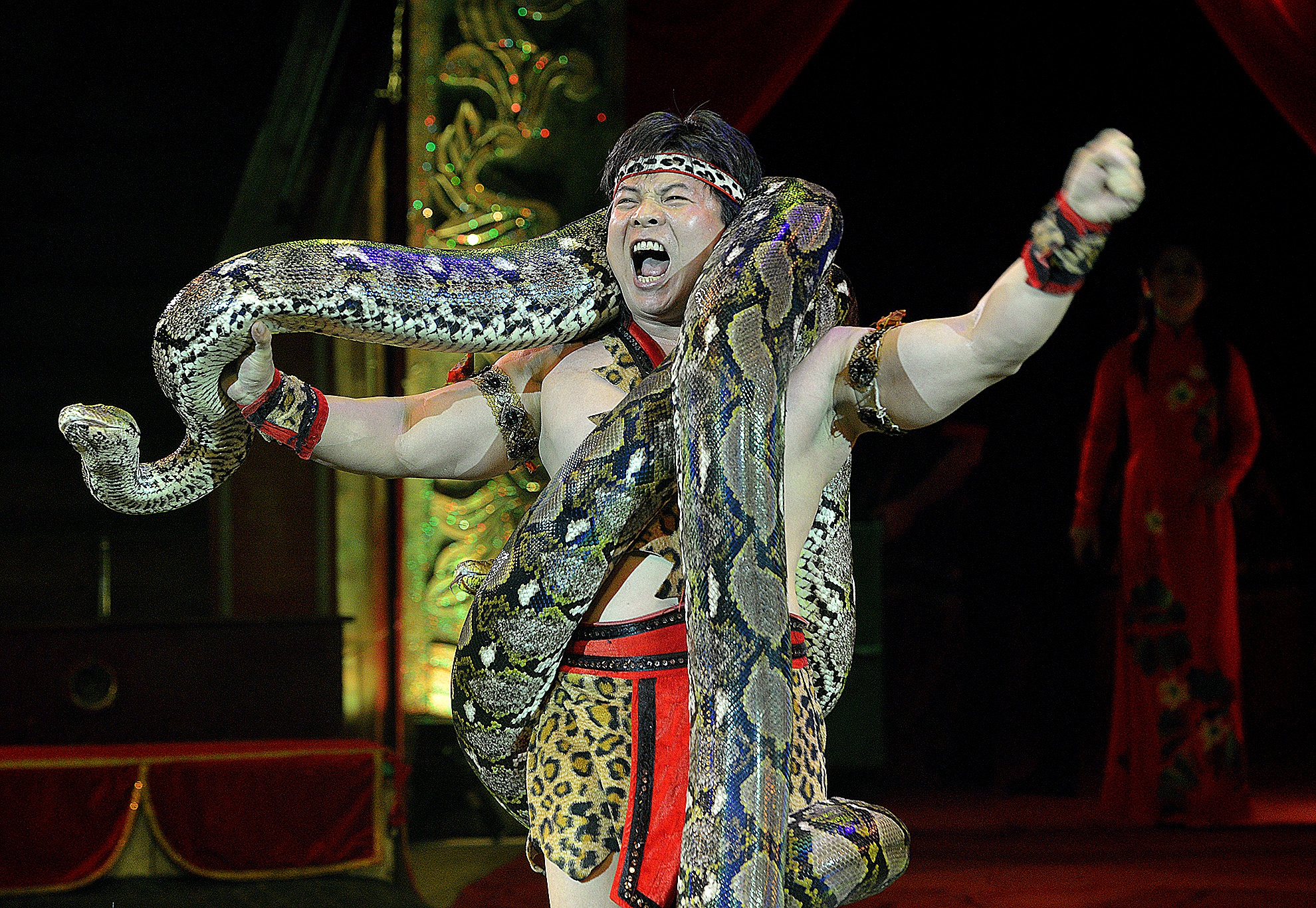 Nguoi Viet dau tien dien xiec cung 7 con tran gan 100kg hinh anh