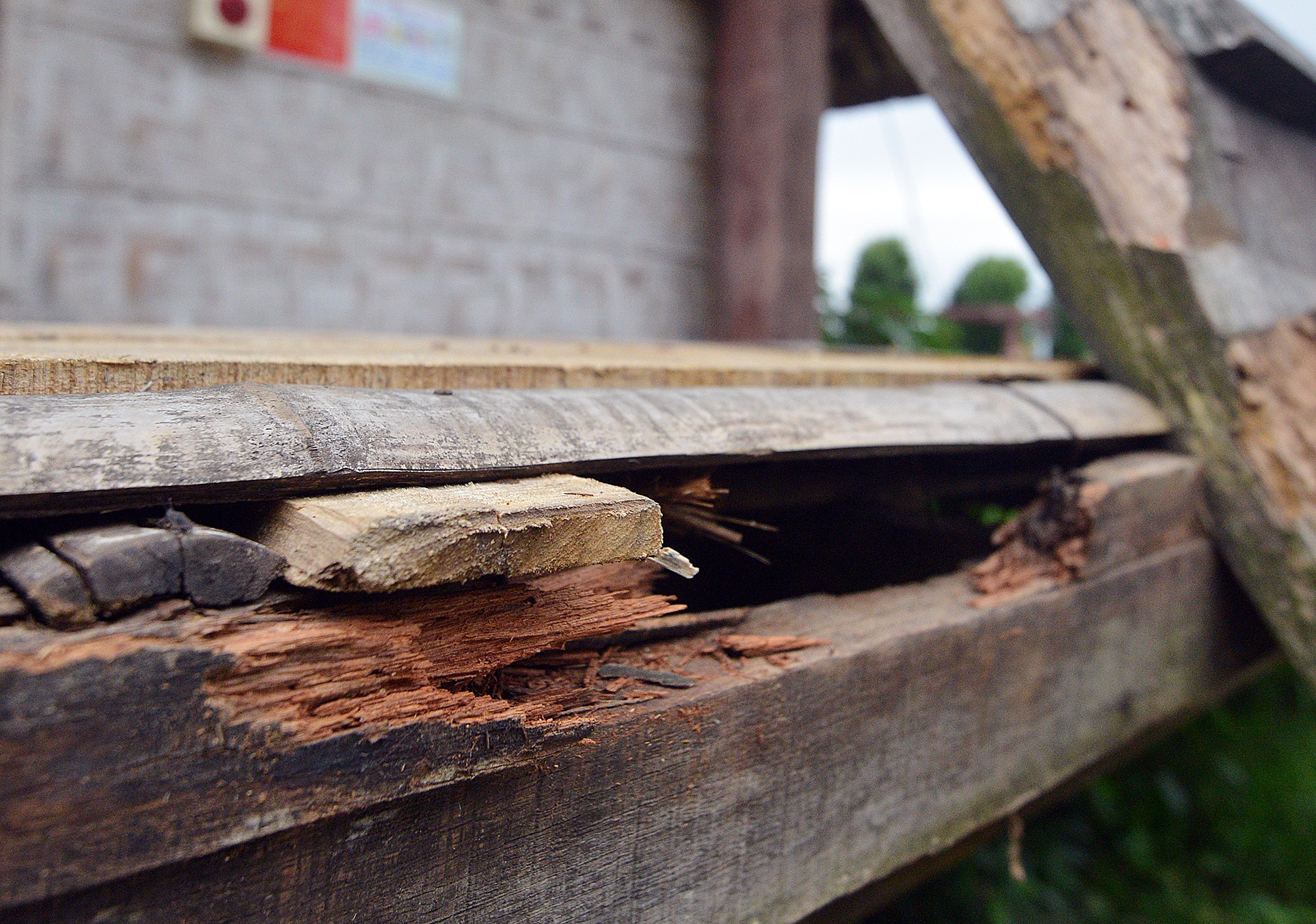 Cầu thang, các trụ nhà của khu nhà người Raglay bị mục nát. Bước vào bên trong có thể nghe thấy tiếng kêu ọp oẹp phát ra từ cột nhà. 
