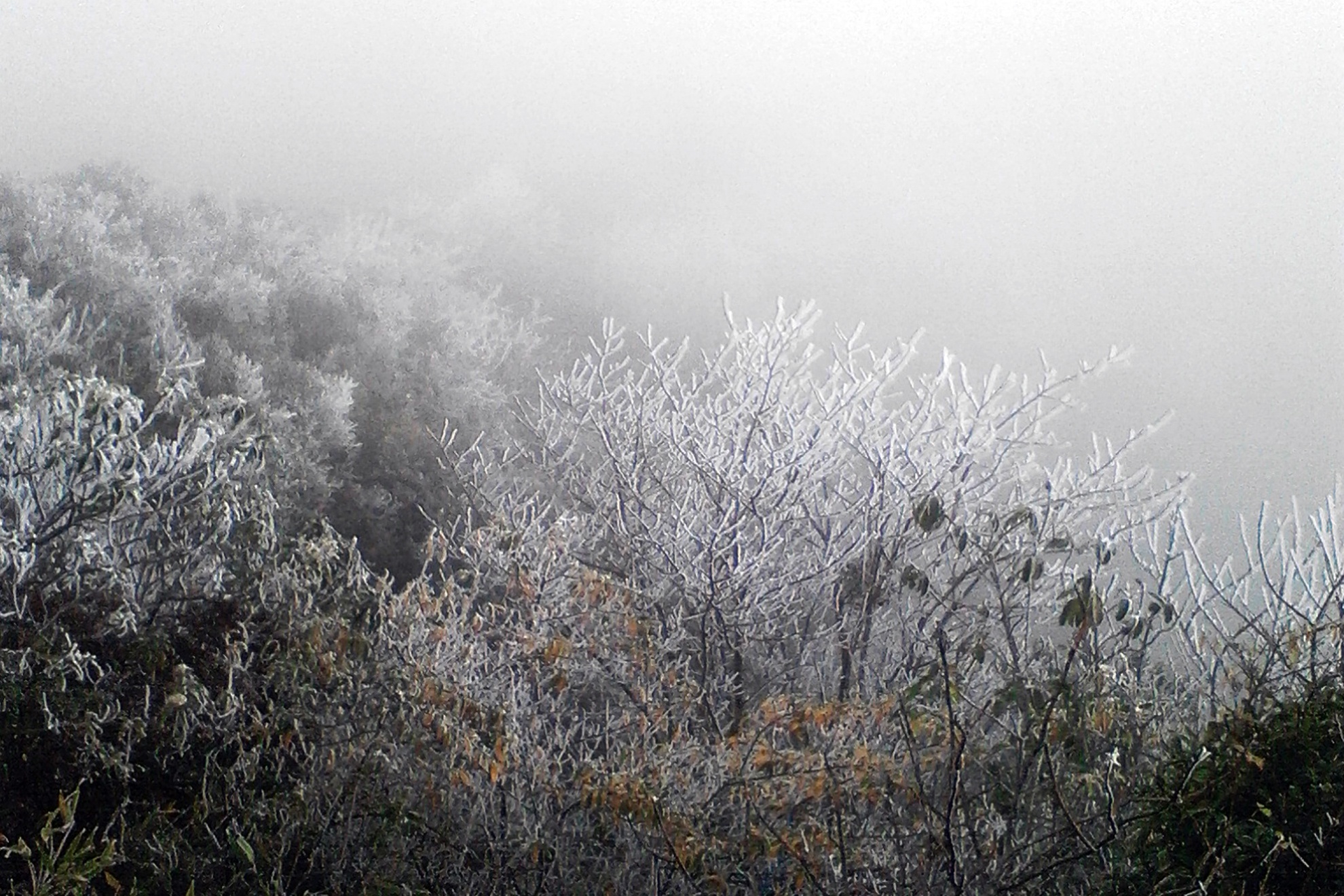 Ở độ cao 2.800m, trên đường lên đỉnh Fanxipan đã xuất hiện băng giá do nhiệt độ xuống quá thấp ngày 17/12. 
