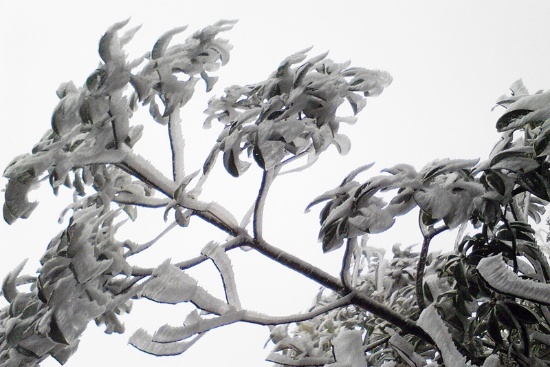 Ret am 1 do C, bang gia phu trang Fansipan hinh anh