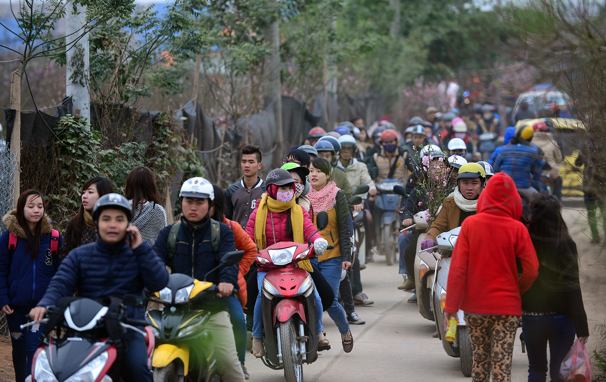 Do xo len lang hoa noi tieng dat Ha thanh gay tac nghen hinh anh