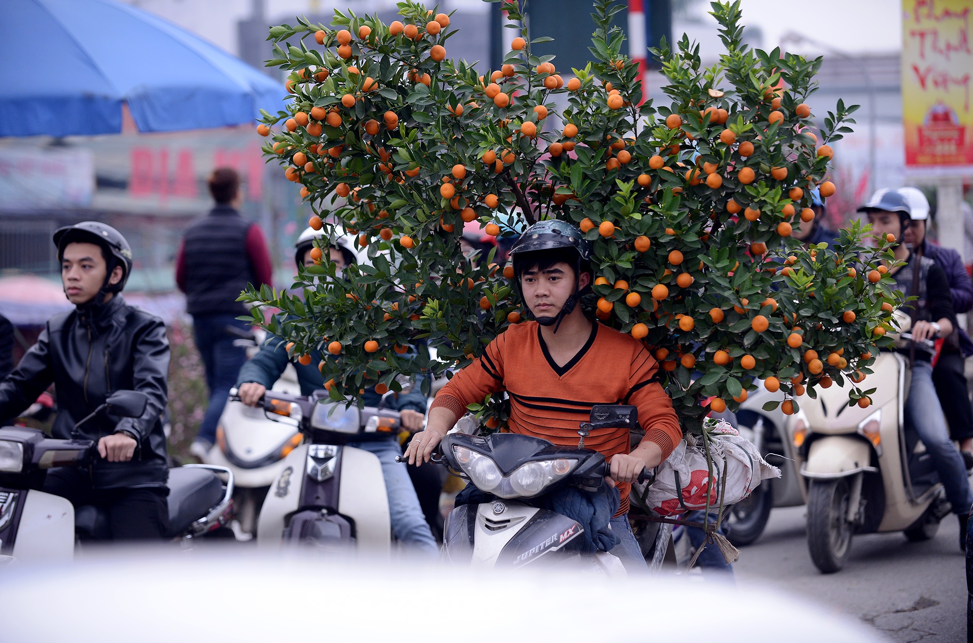 Tac duong hang km quanh cho hoa noi tieng mien Bac hinh anh