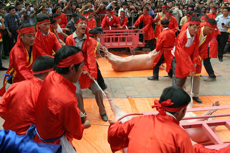 Chem lon giua san dinh bat chap tranh cai hinh anh