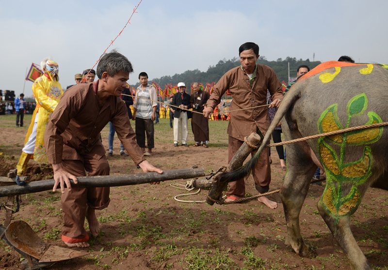 Gay cay trong hoi Tich Dien dau xuan hinh anh