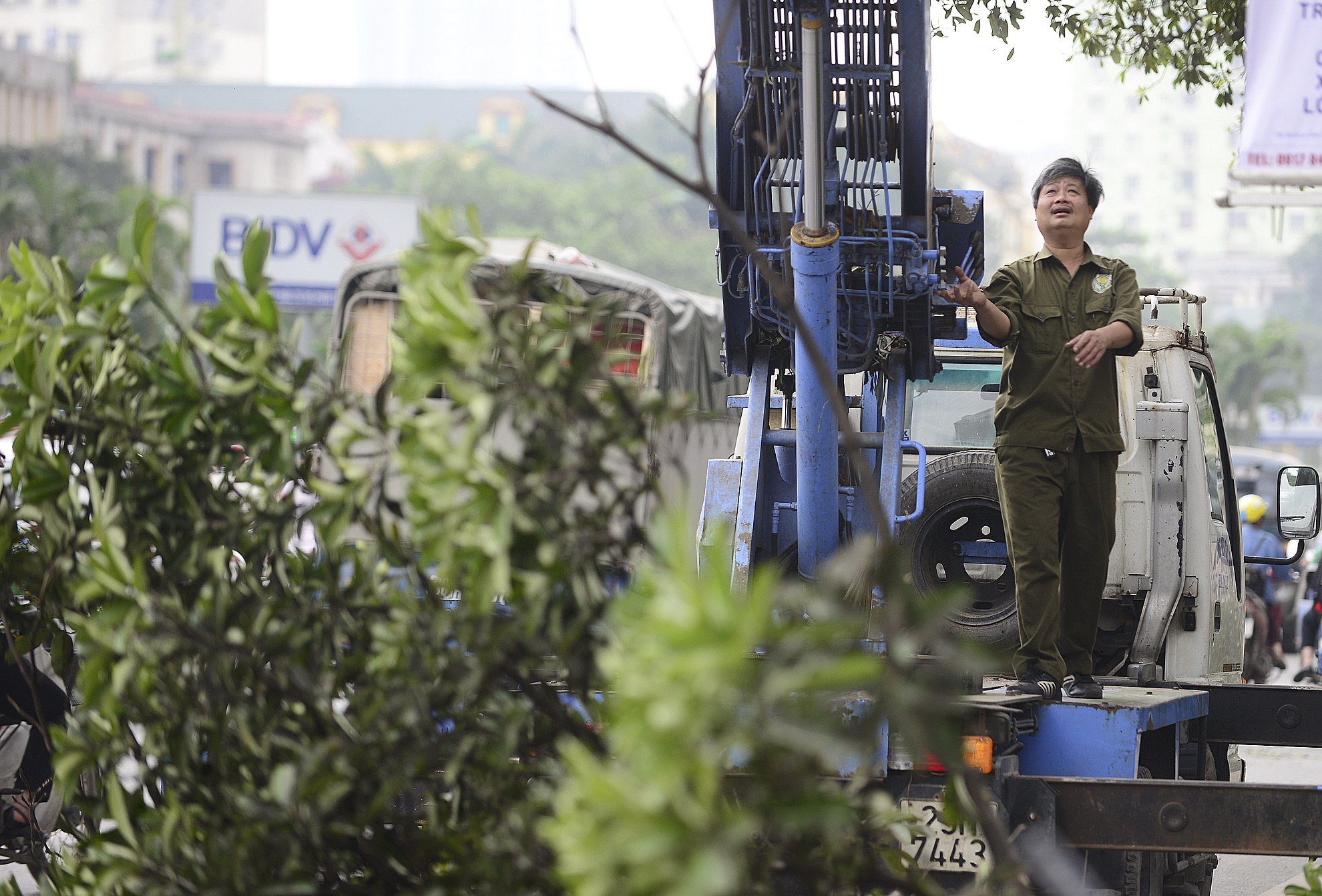 Ha Noi chi 60 ty cho ke hoach cat tia cay trong 3 nam hinh anh