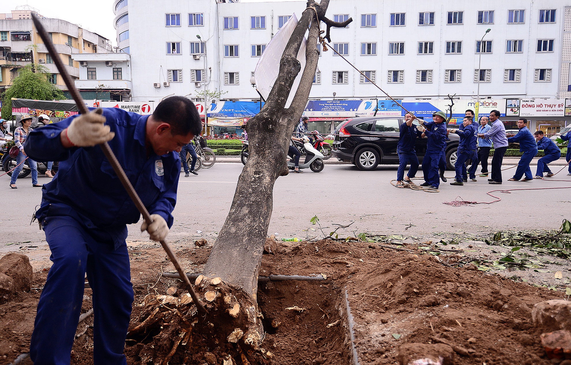 Nguyễn Chí Thanh là một trong số những tuyến đường cây bị chặt hạ sớm nhiều ngày qua.