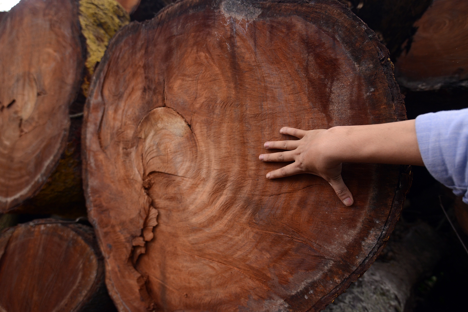 Kho tap ket cay xanh bi don ha o Thu do nhin tu tren cao hinh anh