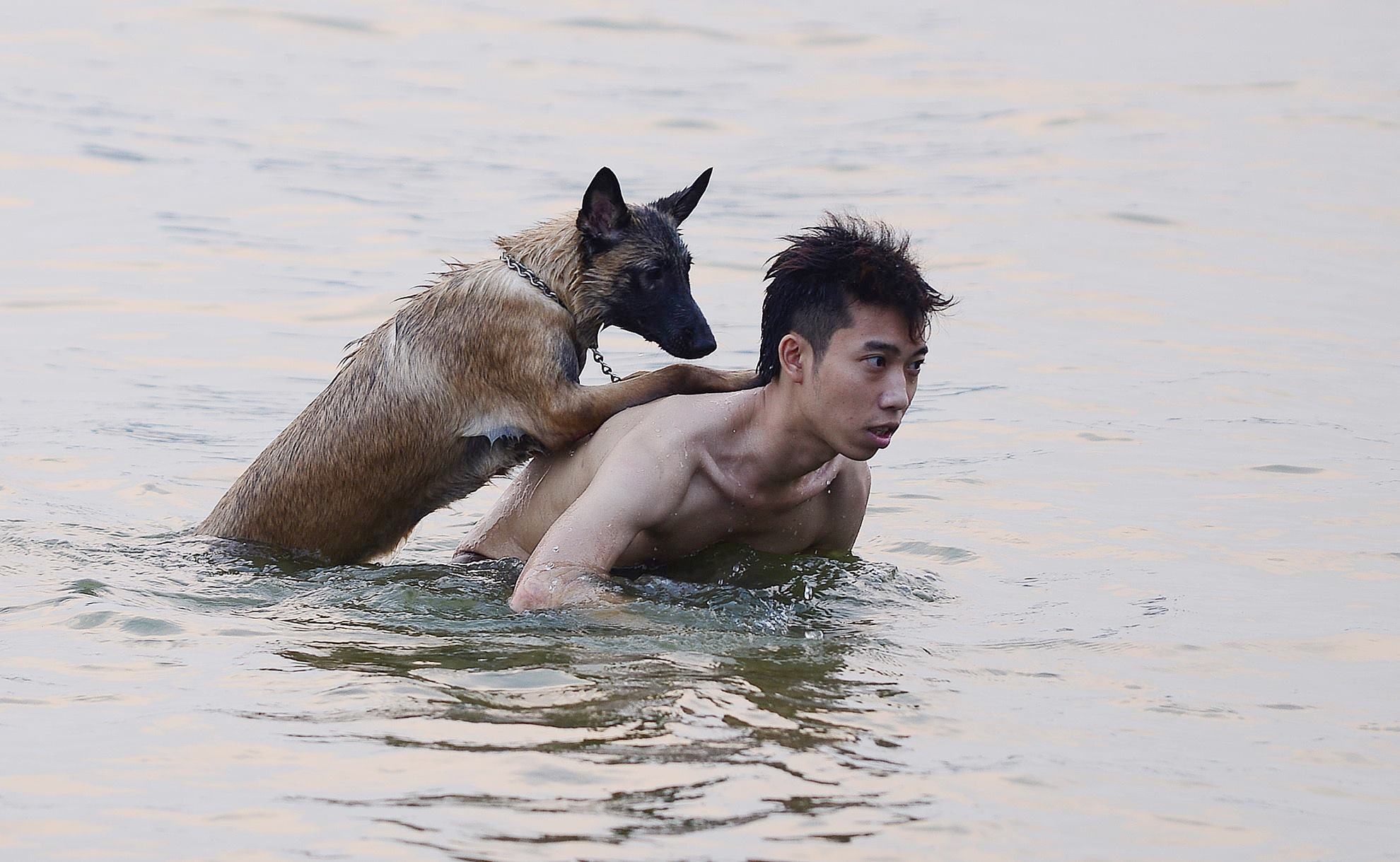 Nguoi Ha Noi cho thu cung tap boi o ho Tay hinh anh