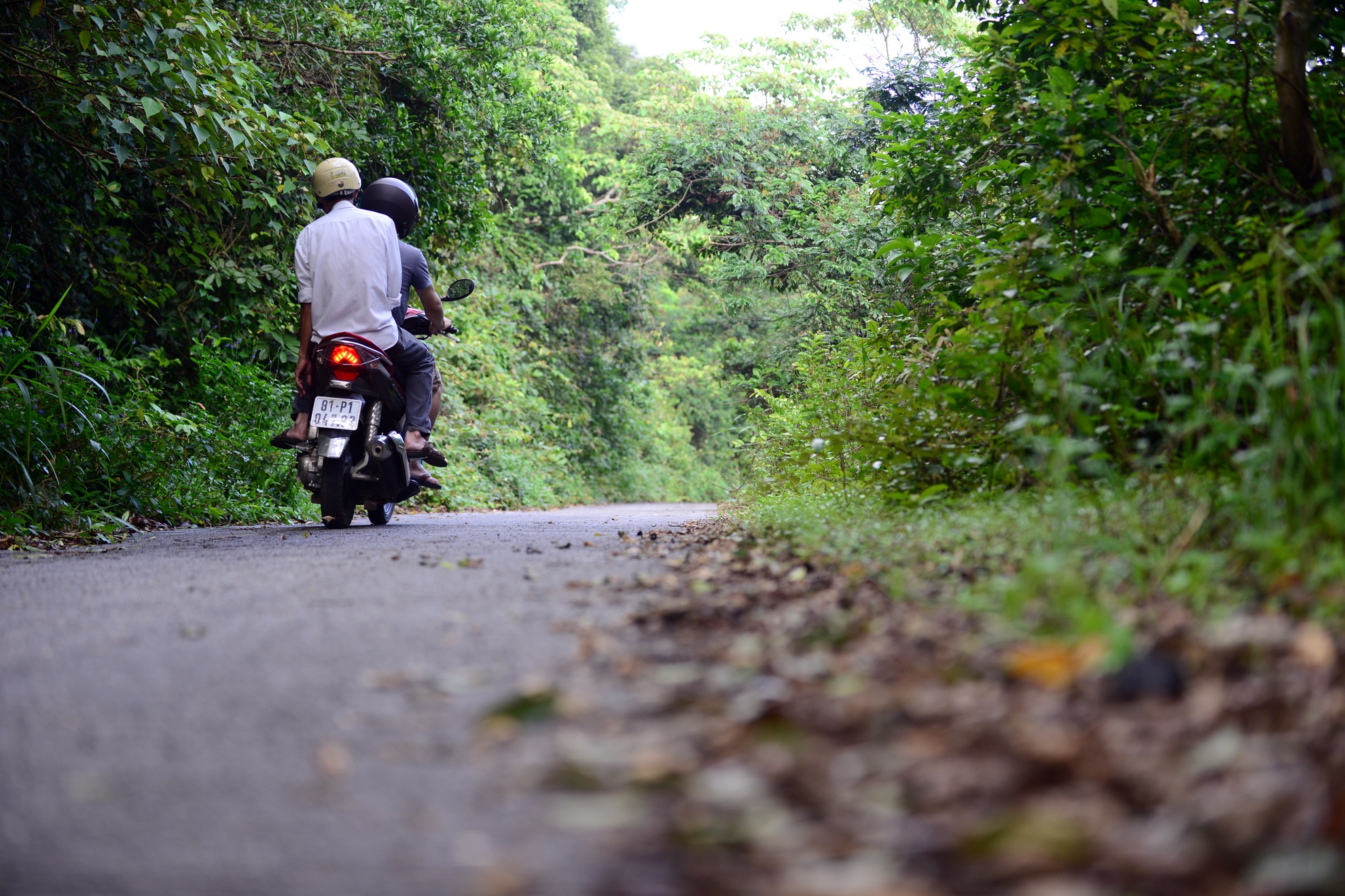 Ban dao Son Tra anh 14