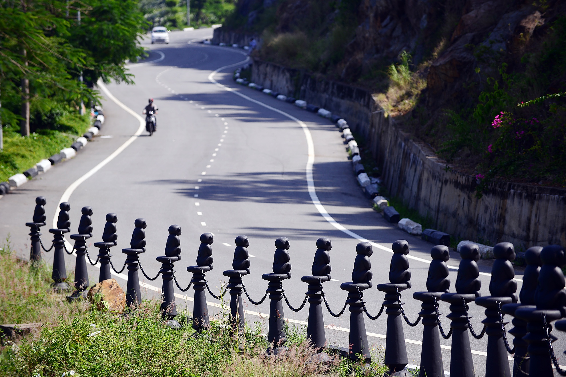 Ban dao Son Tra anh 7