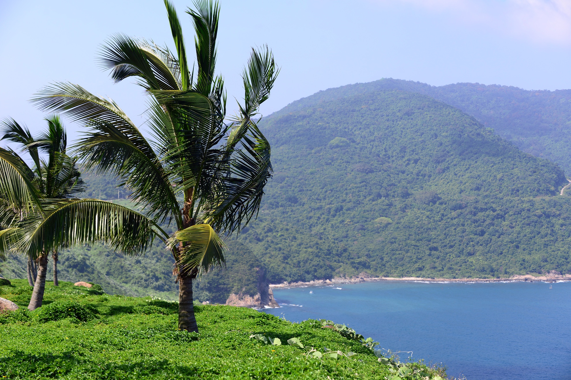 Ban dao Son Tra anh 11