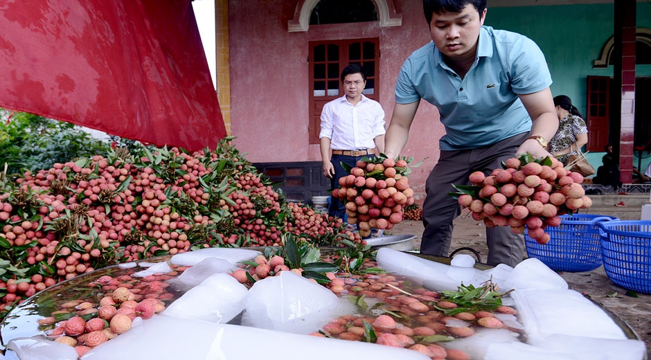 Ben trong day chuyen xuat khau vai thieu di My, Uc hinh anh