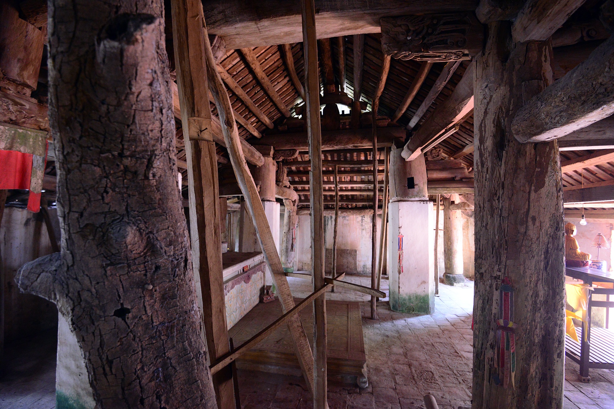 Ngoi chua 500 tuoi phai 'chong nang' hinh anh