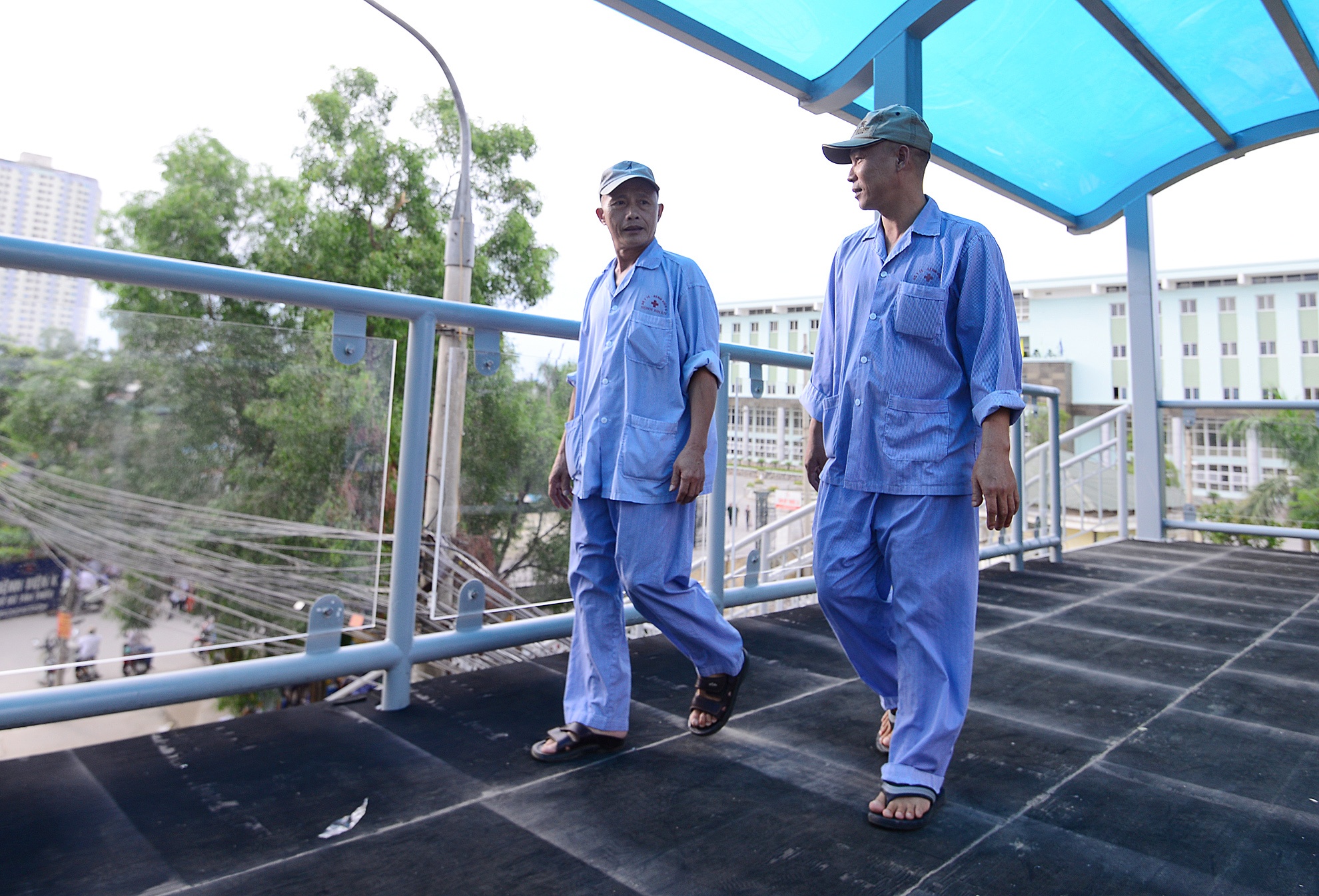 Cay cau Bo truong Thang chi dao lam sau buc tam thu hinh anh