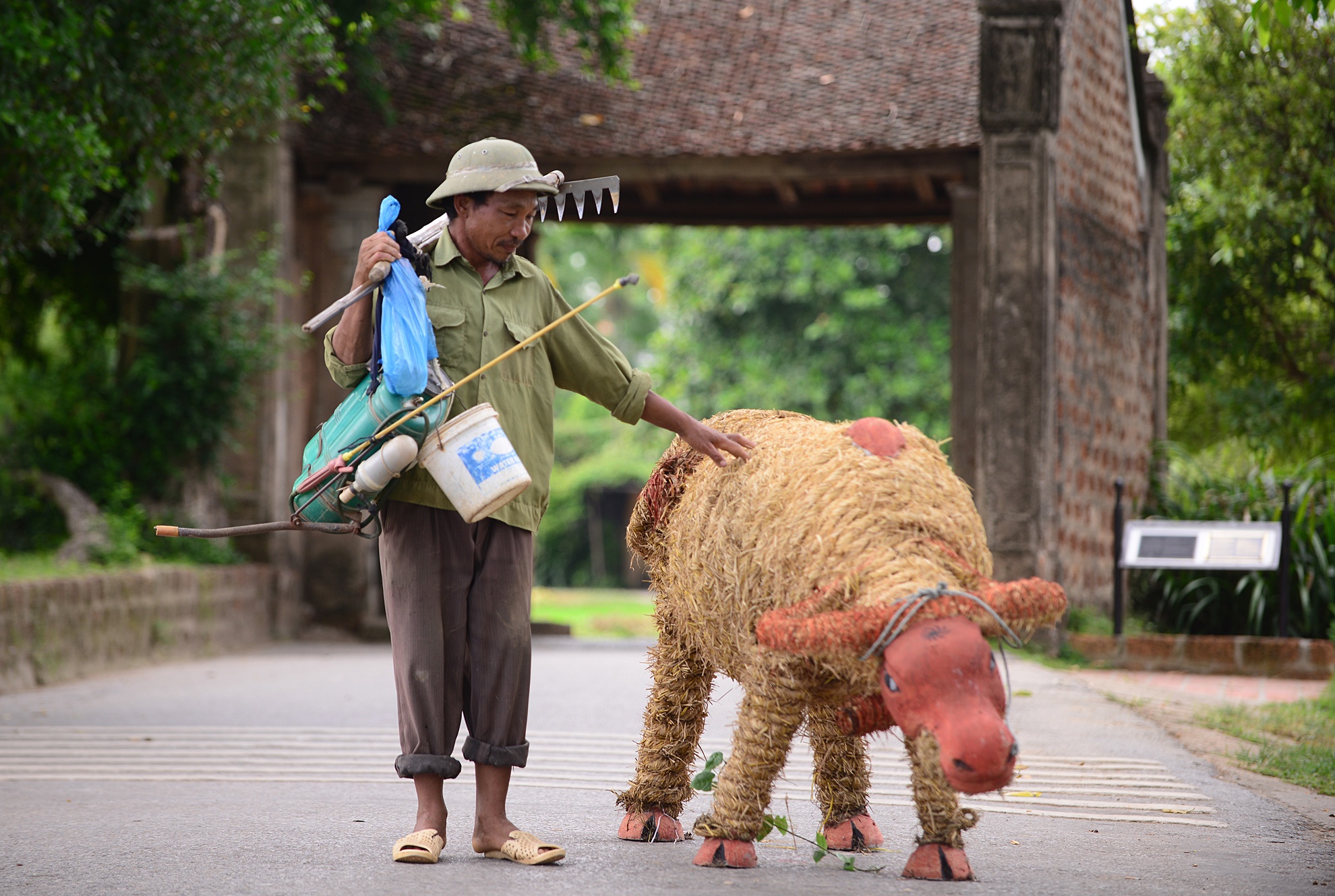 Bu nhin rom Duong Lam phuc vu du lich mua lua chin hinh anh