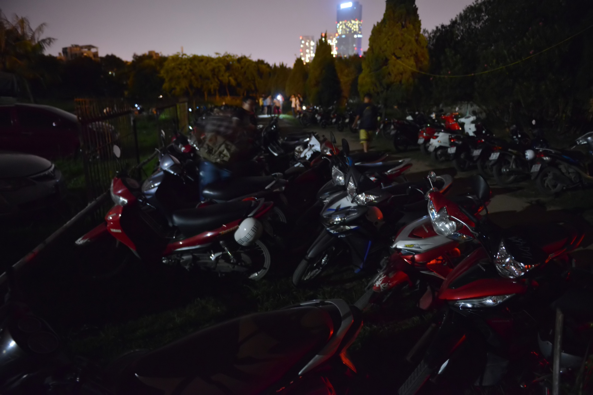 Để được ngắm mưa sao băng, 