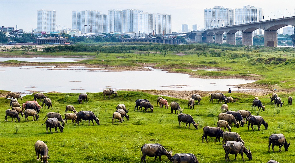 Ha Noi hien dai tu goc nhin ven do hinh anh