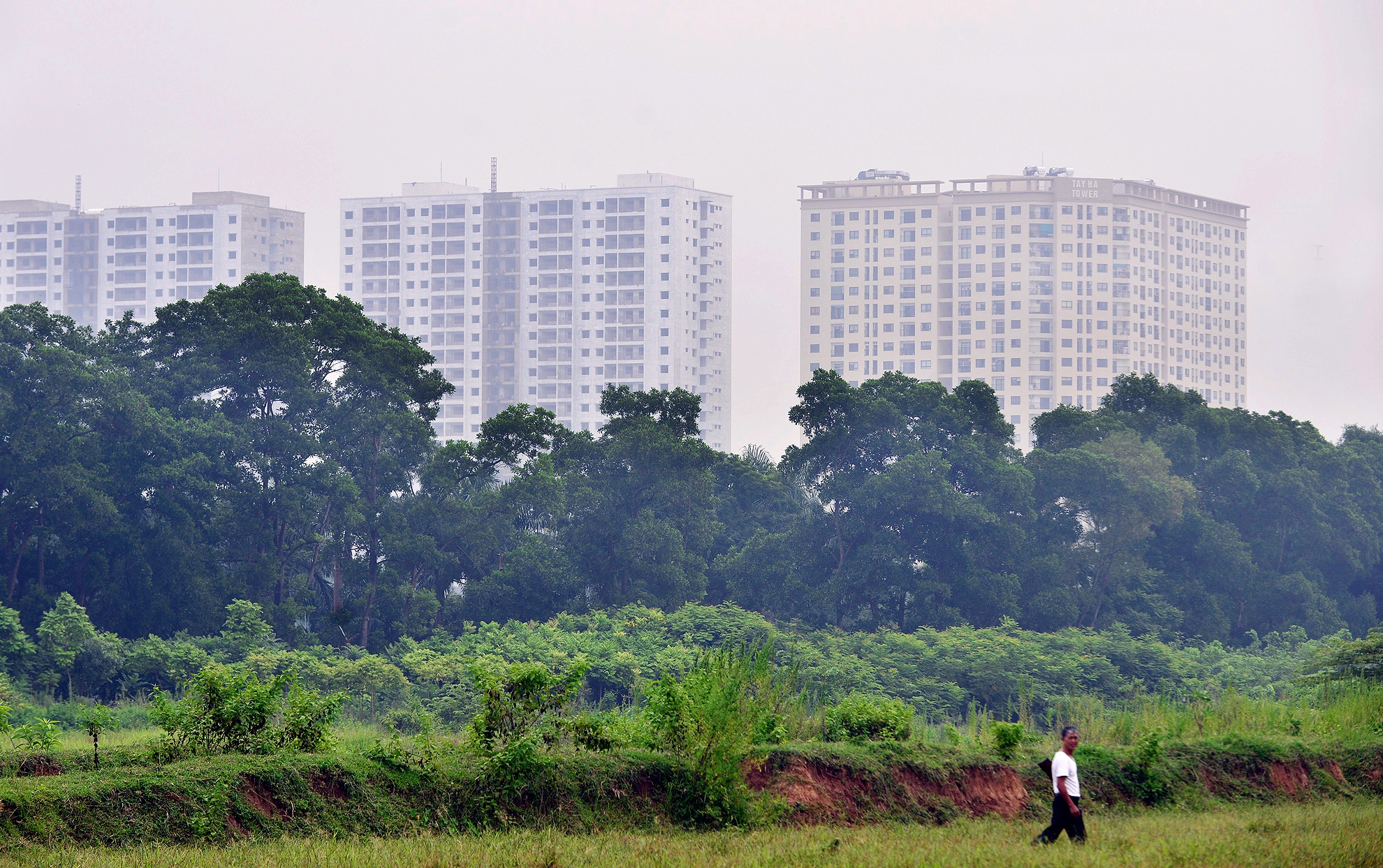 Nhiều làng, xã vùng ven của Hà Nội trước đây sống bằng nghề nông nay cũng chuyển dần sang nghề khác vì đất canh tác bị thu hẹp hoặc không còn.