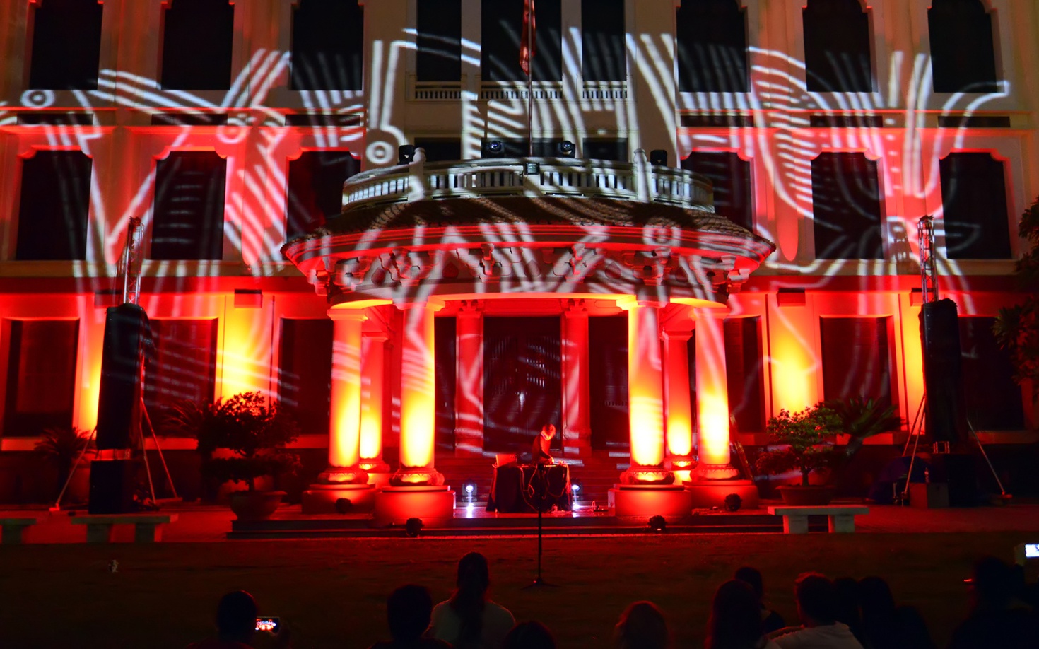 Nguoi Duc ve chim lac bang anh sang o Ha Noi hinh anh