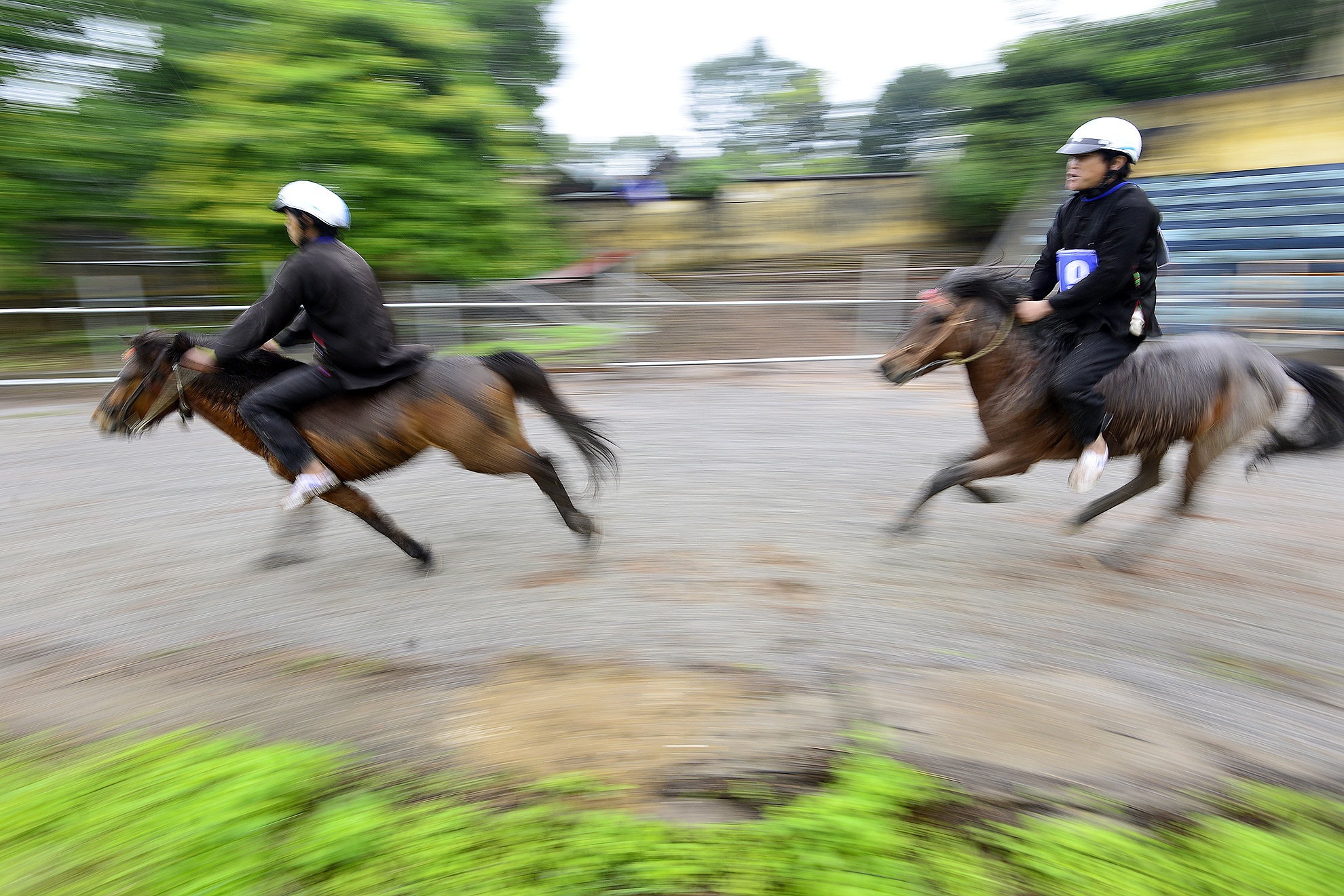 Clip ngua phi nuoc dai tren duong dua hinh anh
