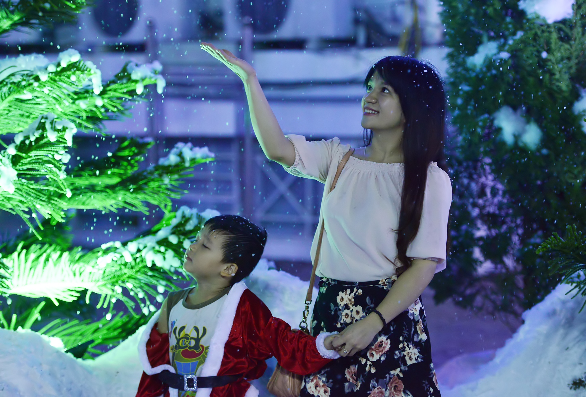 Rung thong, nui tuyet trong dem Giang sinh Ha Noi hinh anh