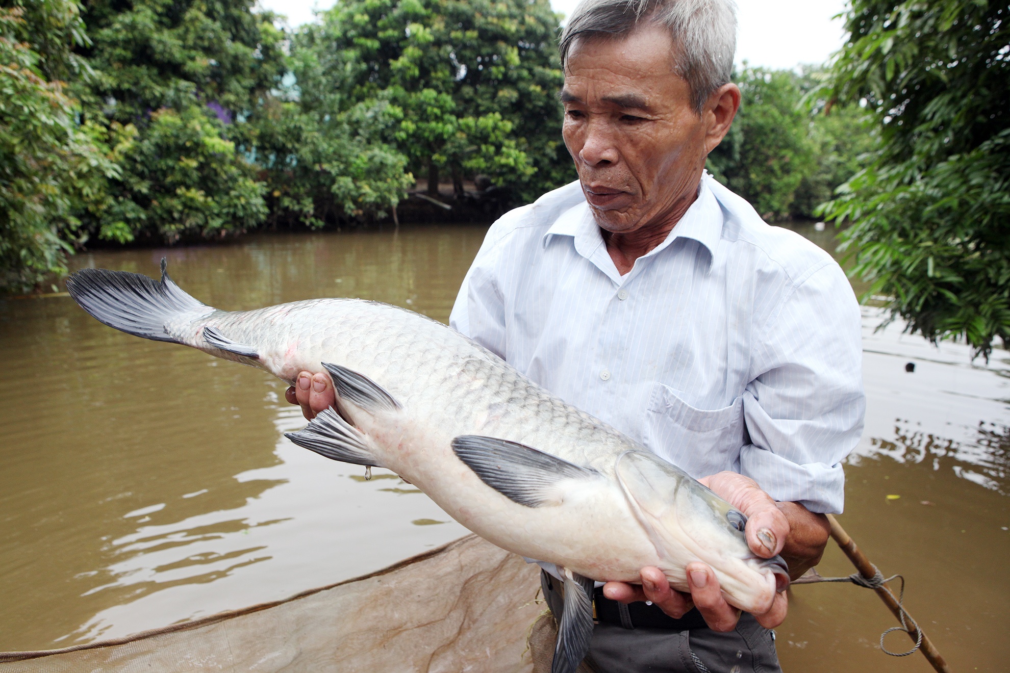 bi quyet kho ca ngon anh 1