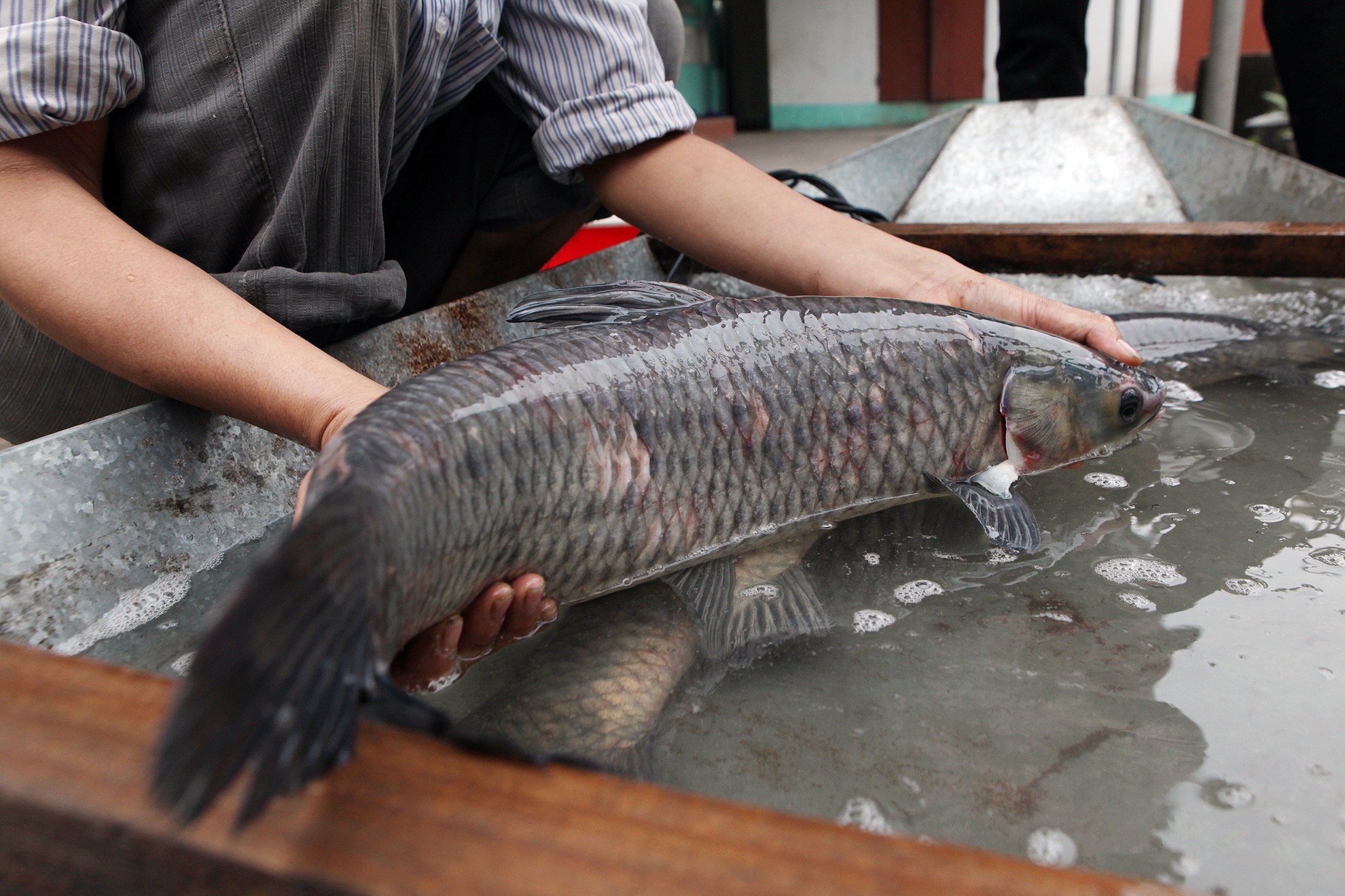 bi quyet kho ca ngon anh 3