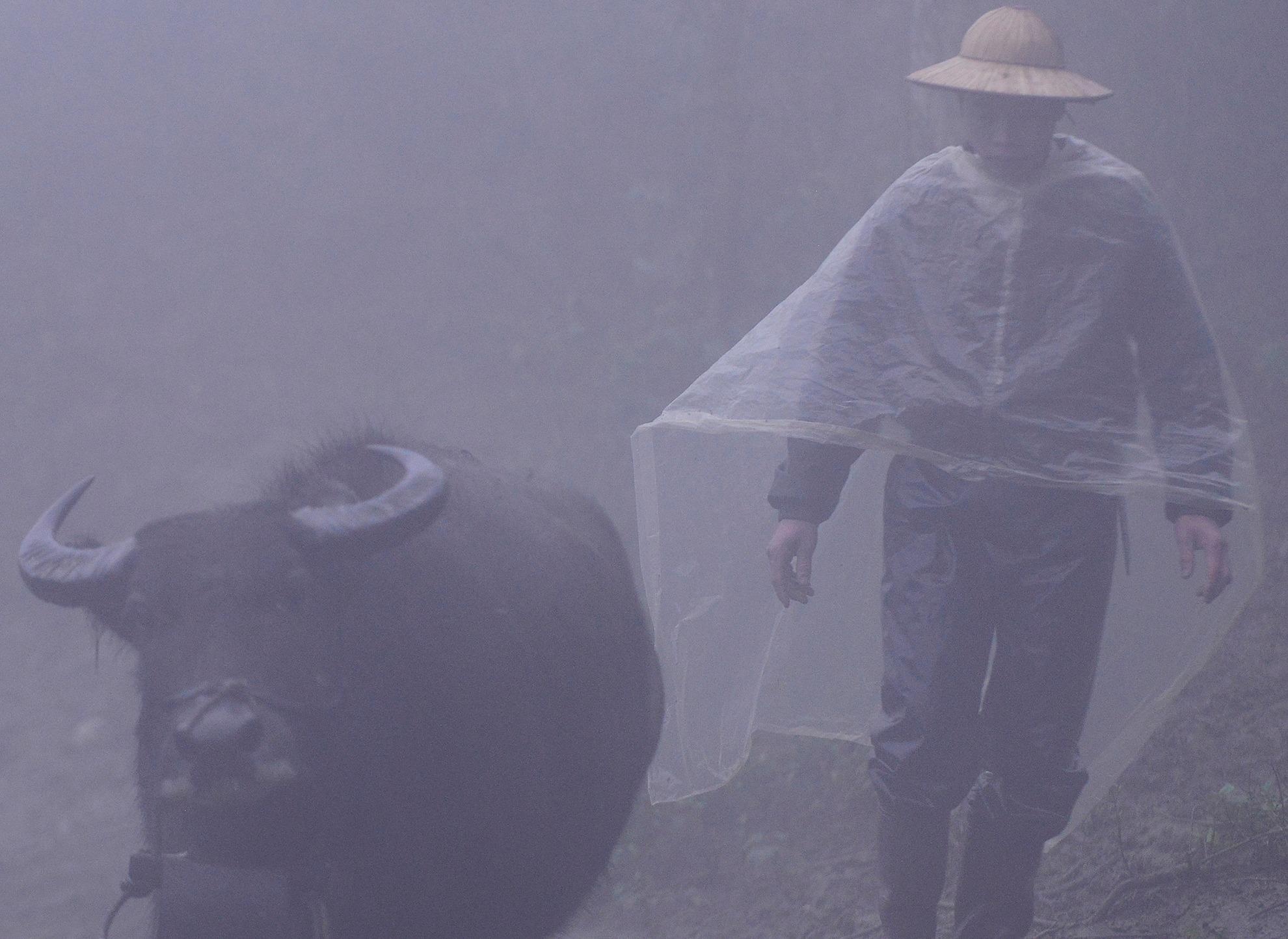 Nguoi dan Sa Pa vat va lua trau di tranh ret hinh anh