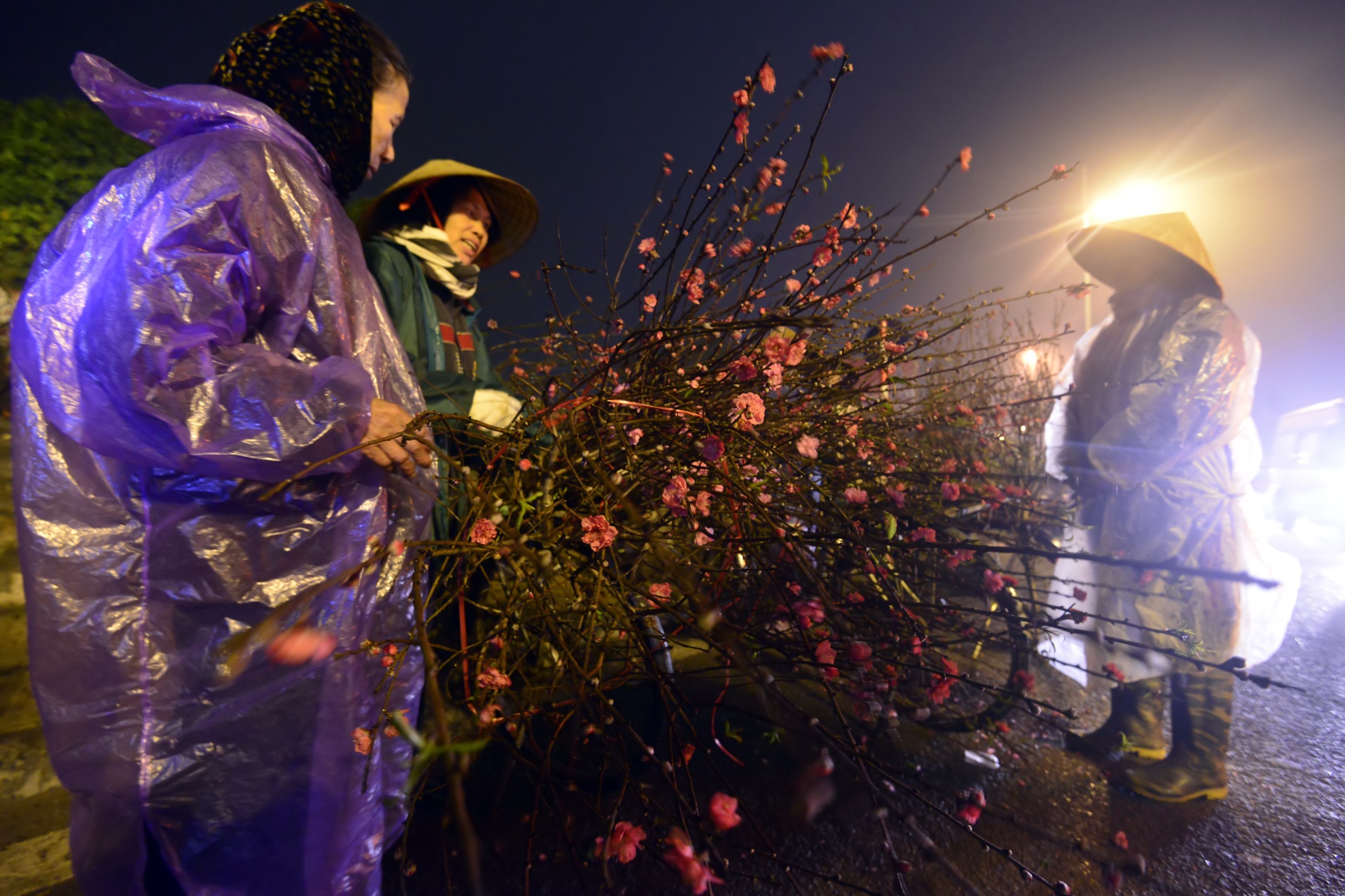 Dem o cho hoa Quang Ba hinh anh