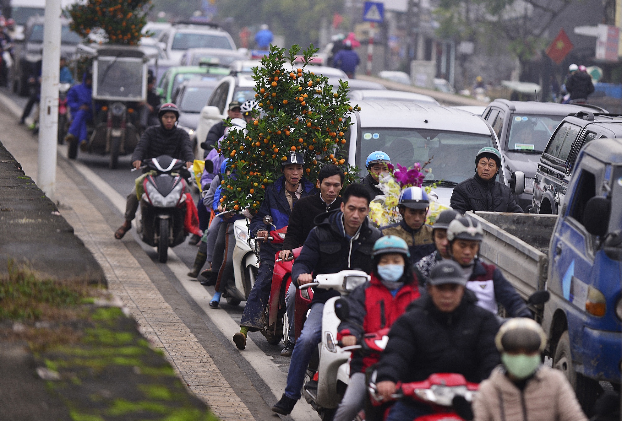 Un tac nhieu km o cho hoa Tet noi tieng mien Bac hinh anh