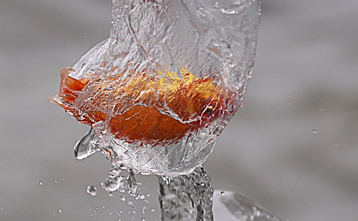 Nguoi dan tha ca, xa ca rac tien Tao quan hinh anh