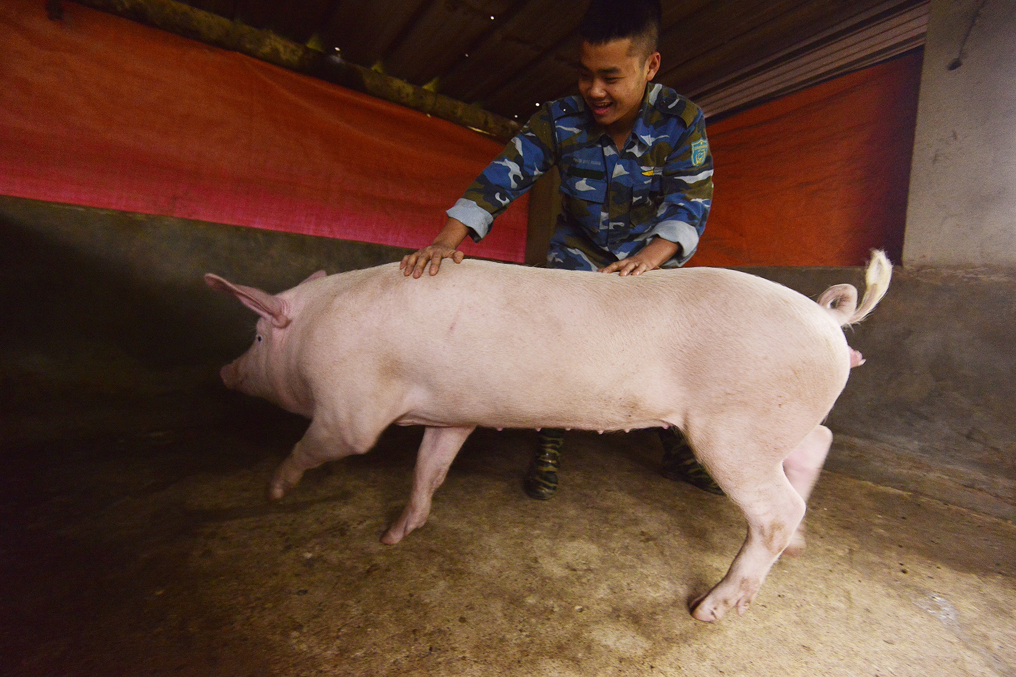 Linh khong quan mo lon, goi banh chung don Tet hinh anh