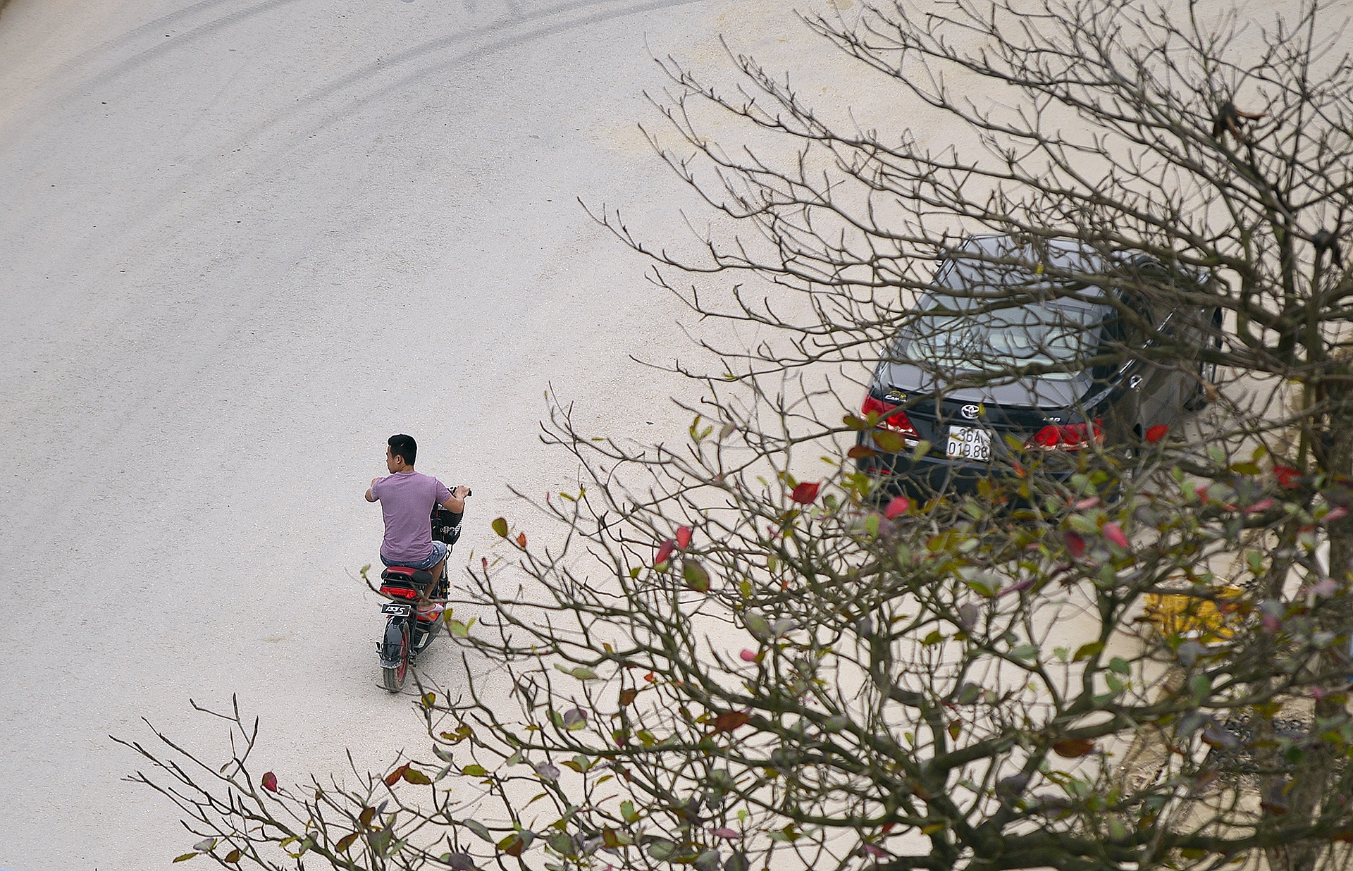 dai cong truong cua FLC anh 10