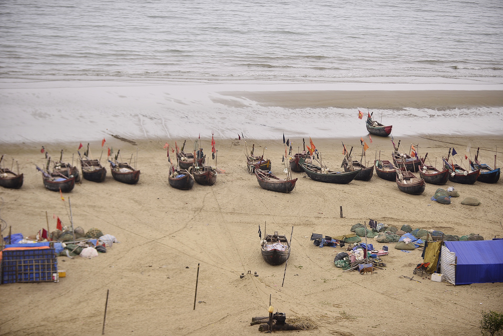 dai cong truong cua FLC anh 6