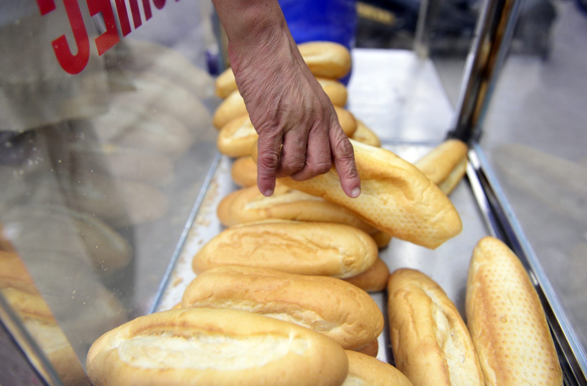 Xuat hien tu banh mi mien phi o Ha Noi hinh anh