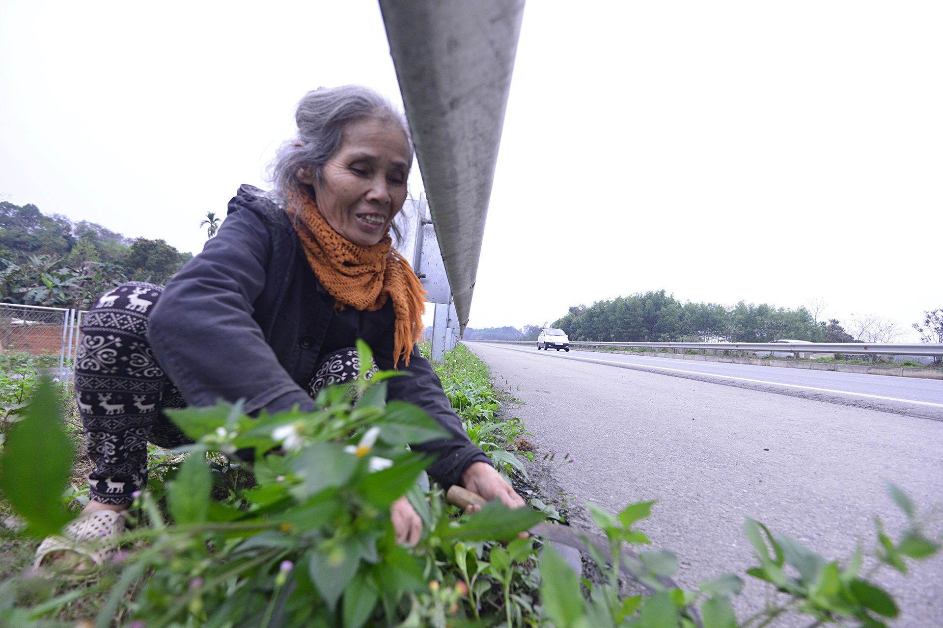 Dan pha rao cao toc anh 4