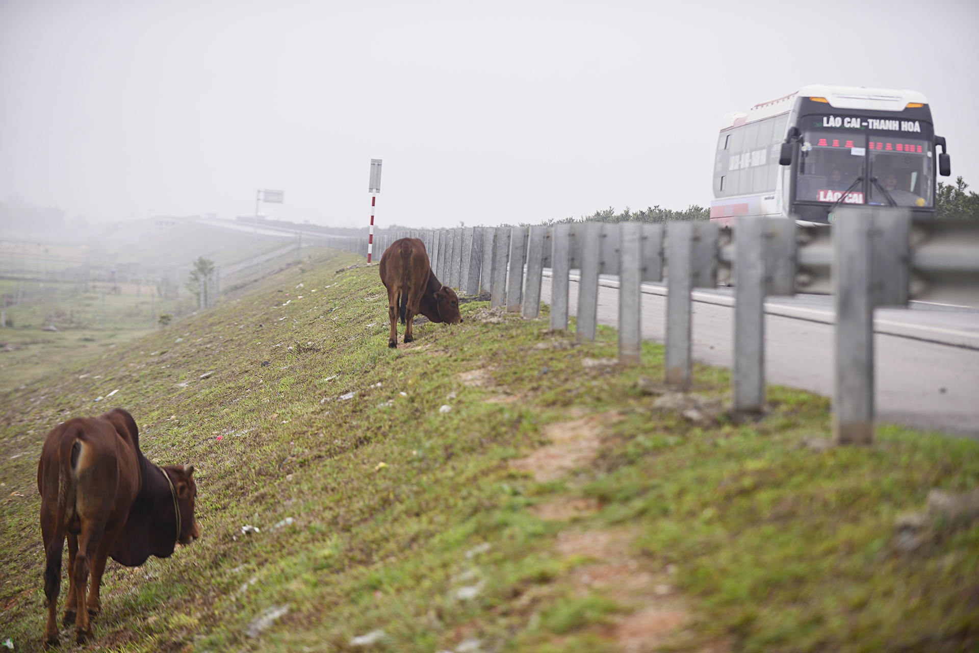 Dan pha rao cao toc anh 6