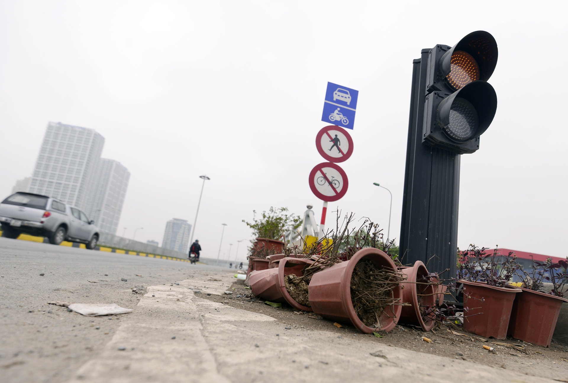 Rac tran ngap ham chui Trung Hoa,  Thanh Xuan anh 10