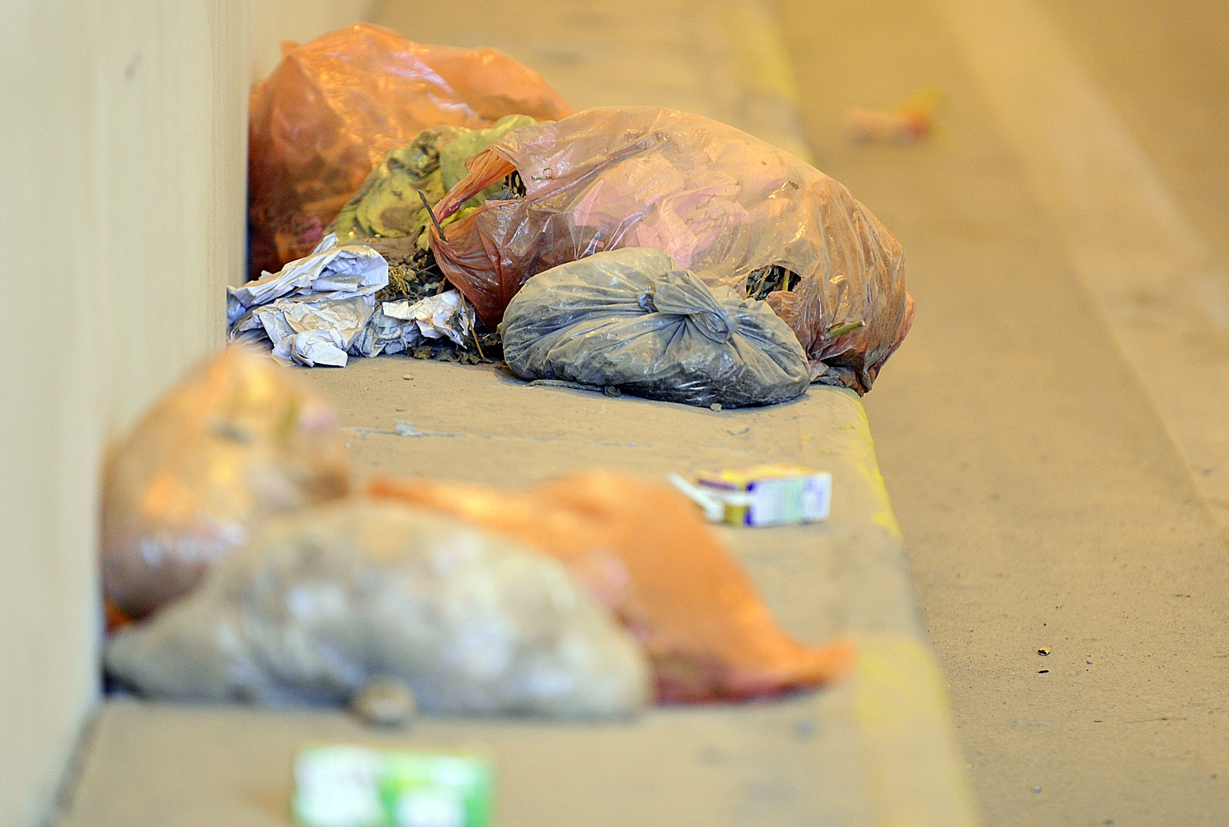 Rac tran ngap ham chui Trung Hoa,  Thanh Xuan anh 4