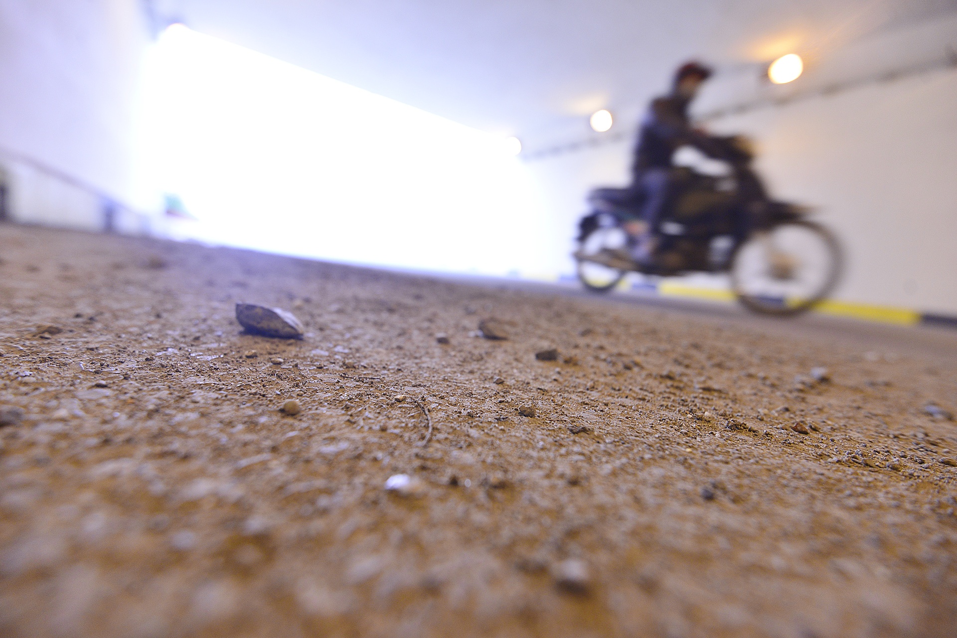 Rac tran ngap ham chui Trung Hoa,  Thanh Xuan anh 7