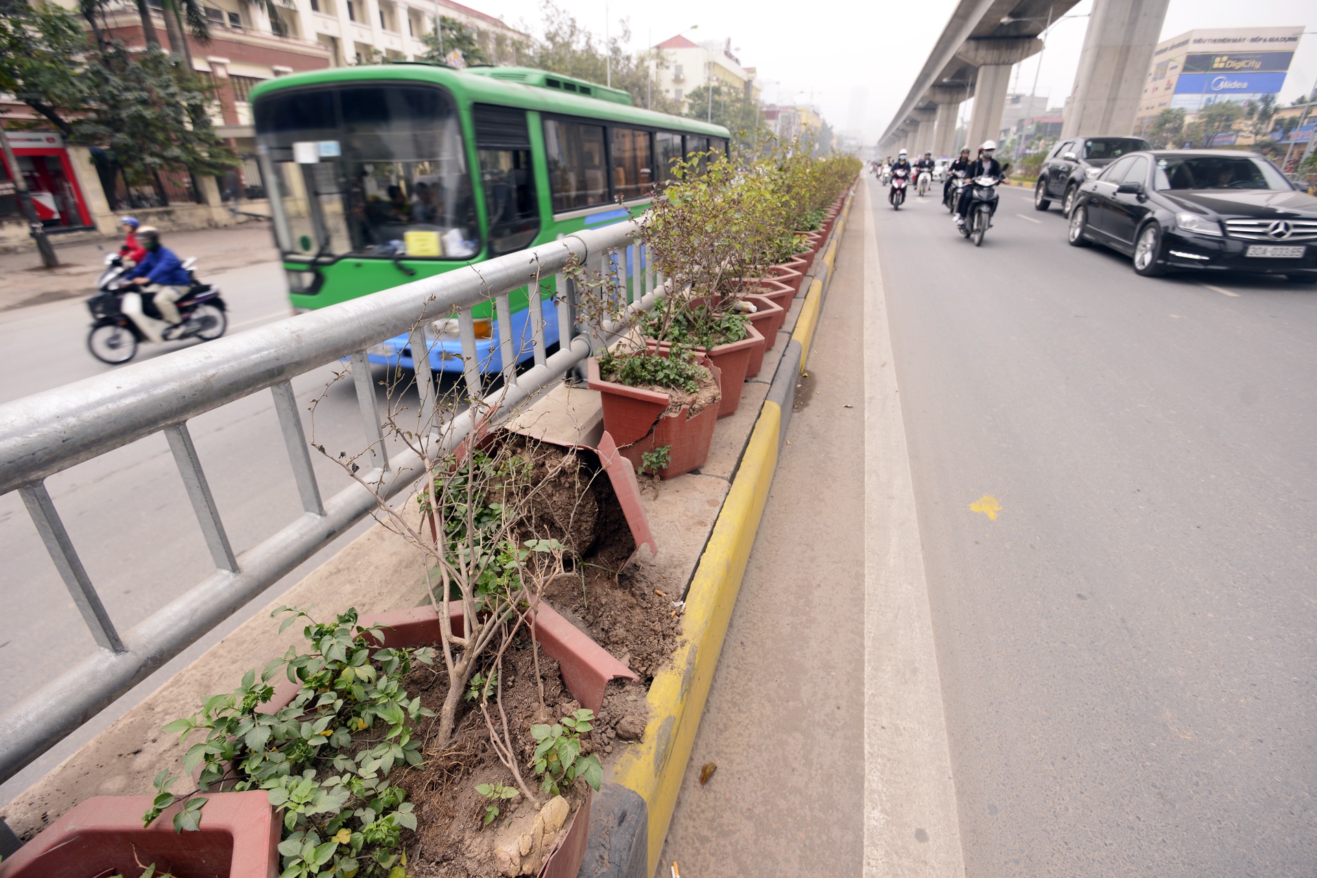 Rac tran ngap ham chui Trung Hoa,  Thanh Xuan anh 8