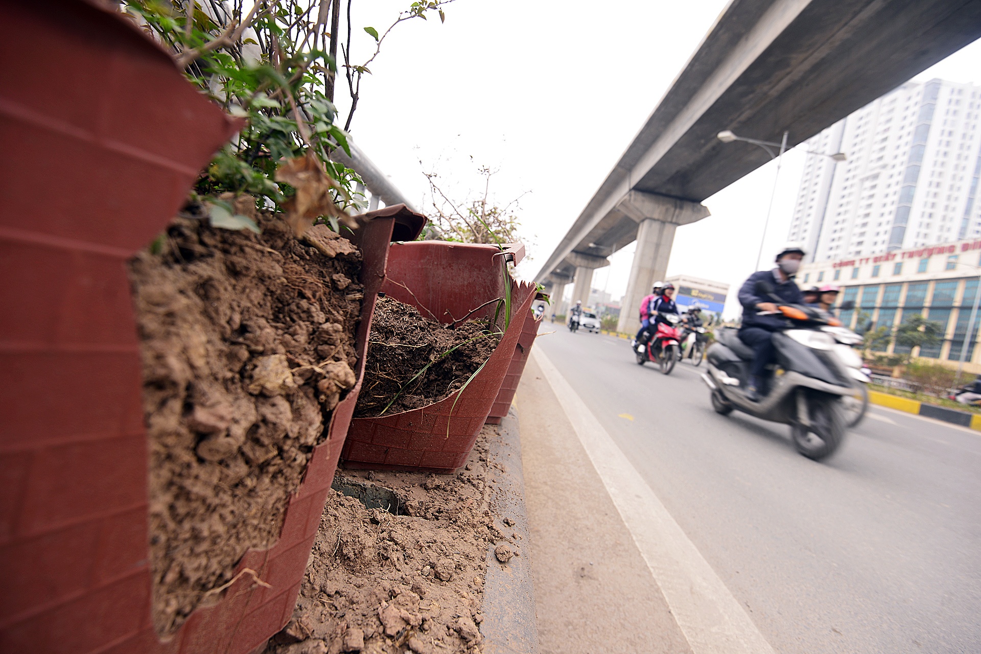 Rac tran ngap ham chui Trung Hoa,  Thanh Xuan anh 9