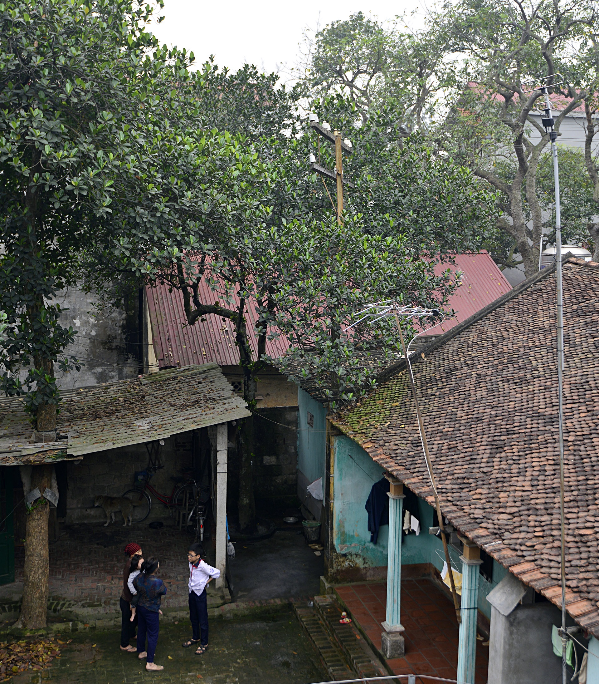 Cot dien vien thong xuyen nha anh 1