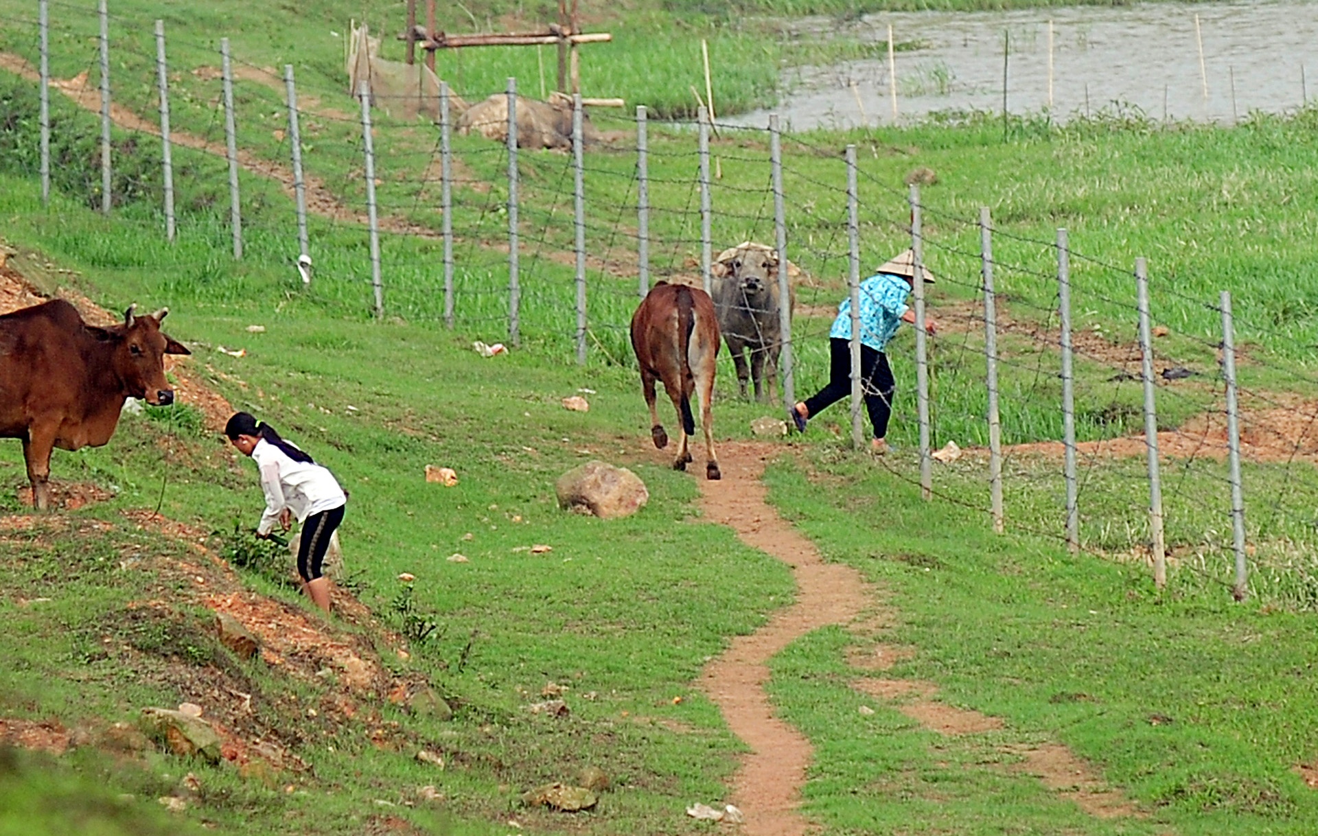 xe khach lao cai anh 10