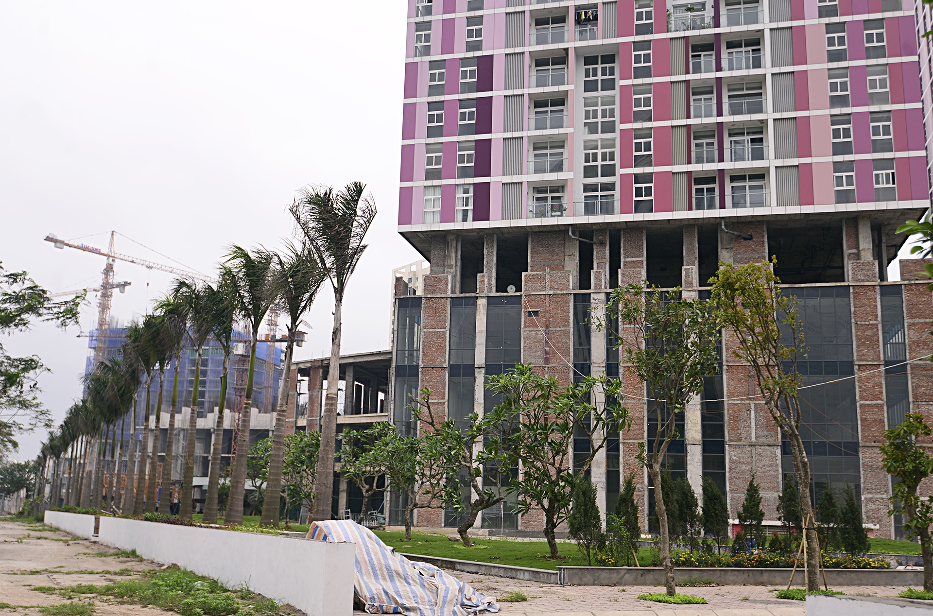 chung cu ma o ha noi anh 2